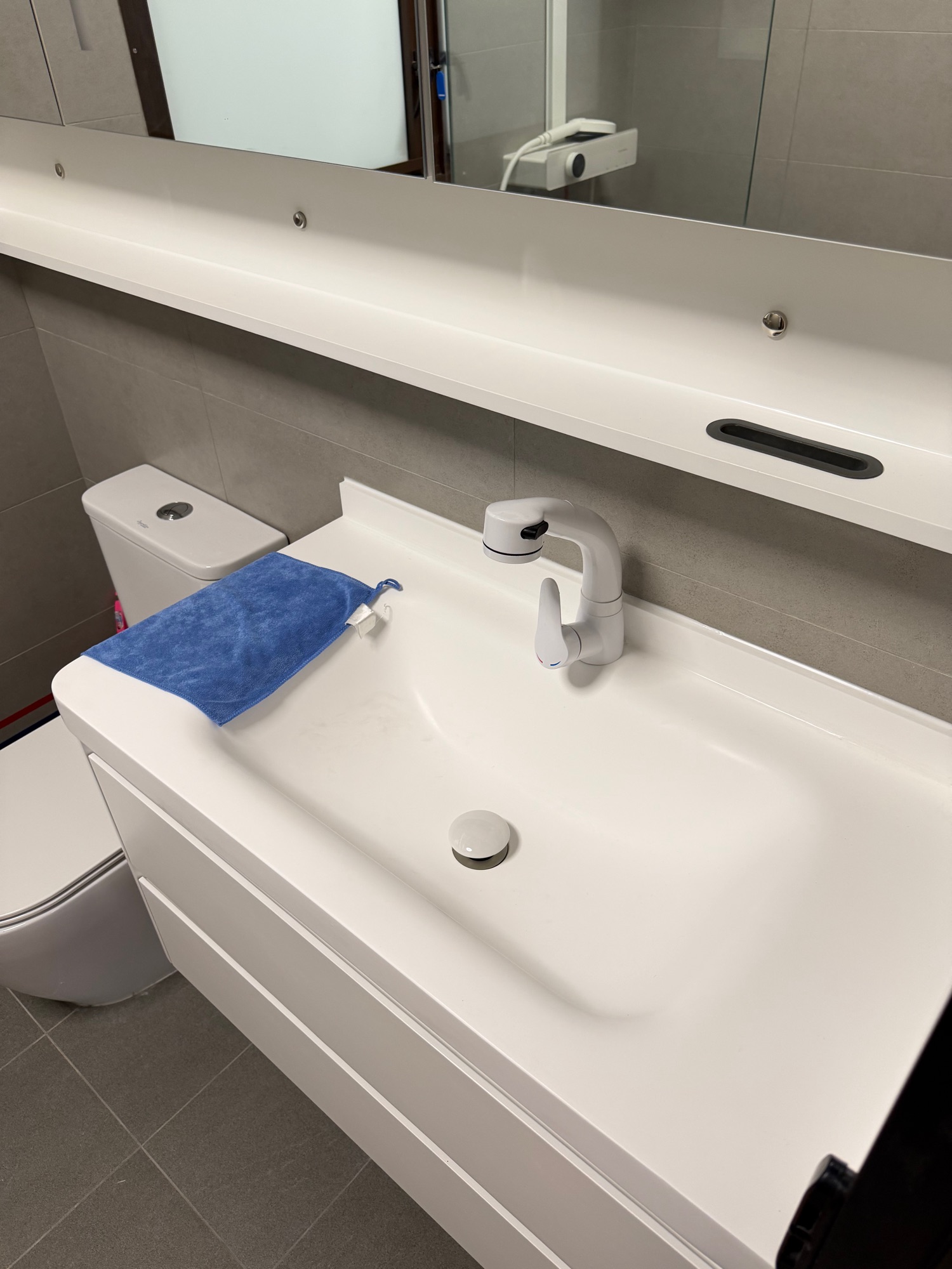 Master toilet reveal!