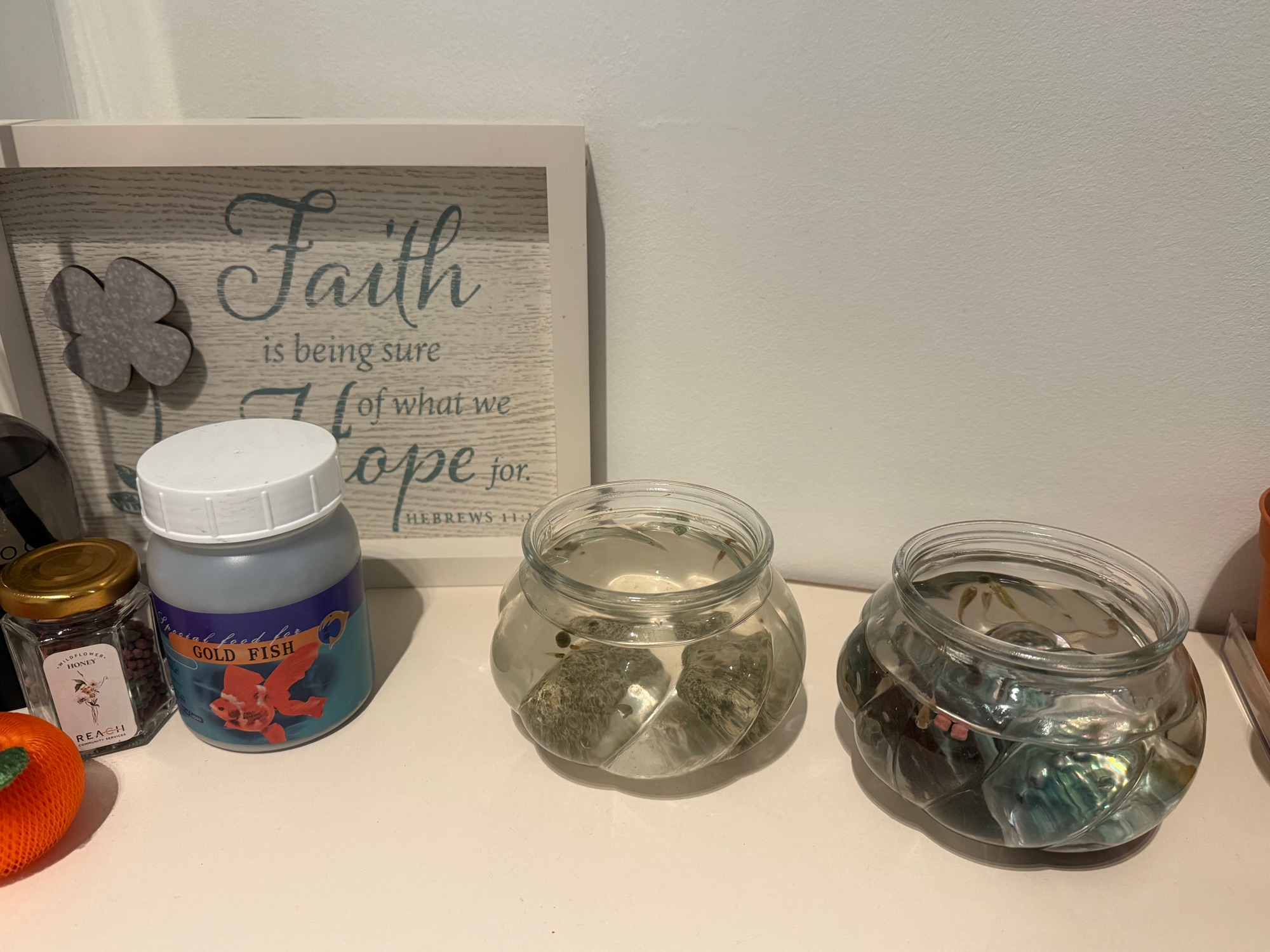 Small-spaces-with-new-additional-adds-of-easy-to-care-plants-and-more!