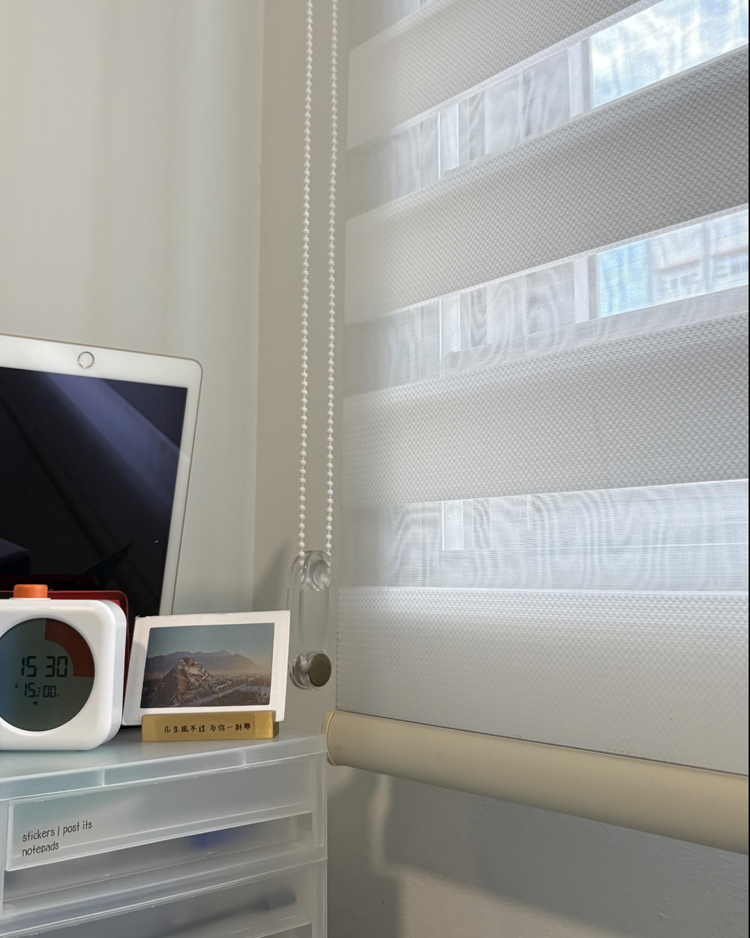 Are you Team Curtains or Team Blinds?