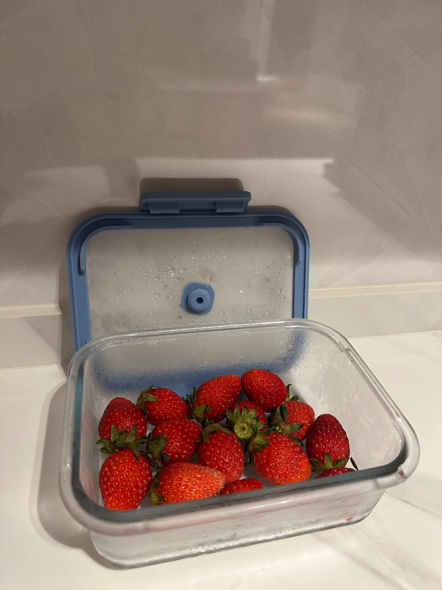 Keeping Food Fresh with Neoflam