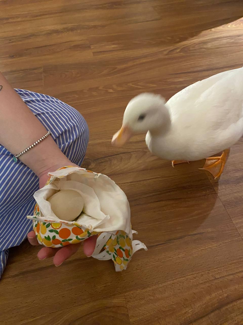 Things we did over the weekend at home!