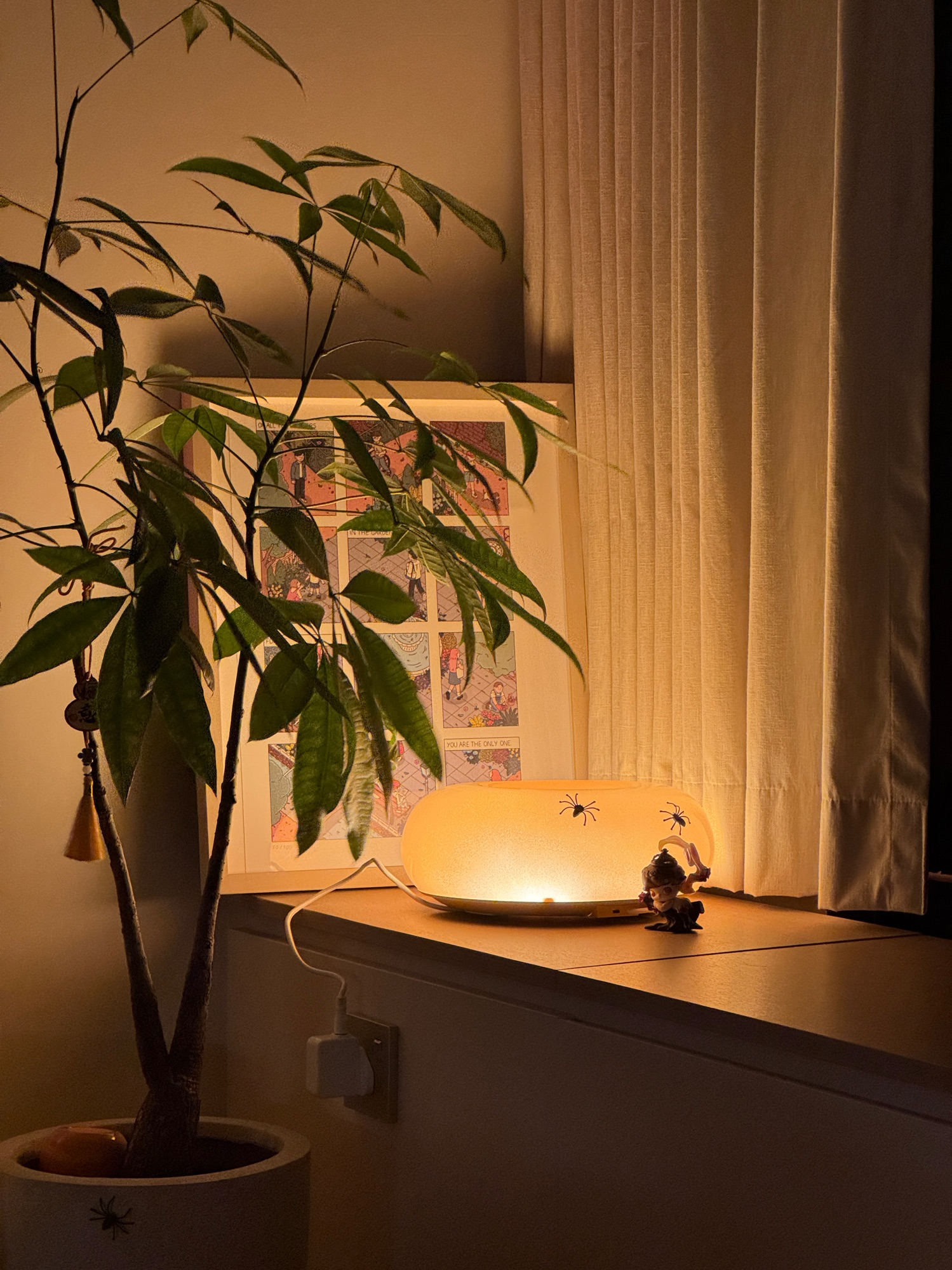 our little lamp collection ✨💡