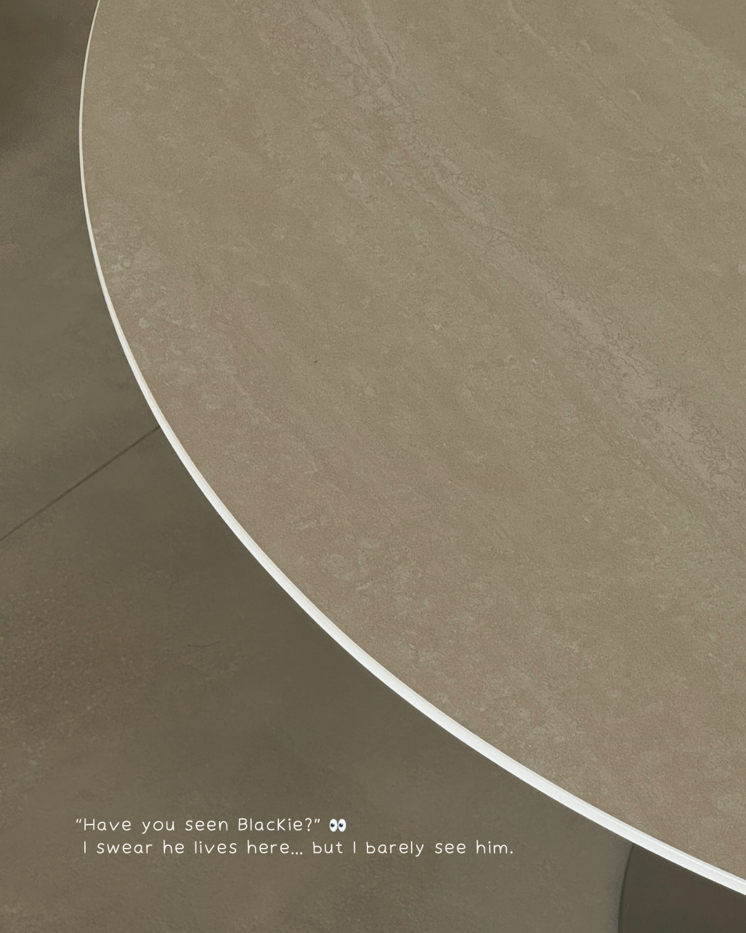 Acts-like-he-owns-the-house....