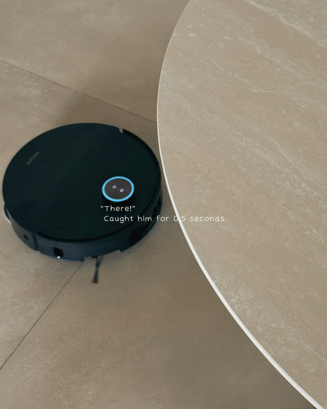 Acts like he owns the house....