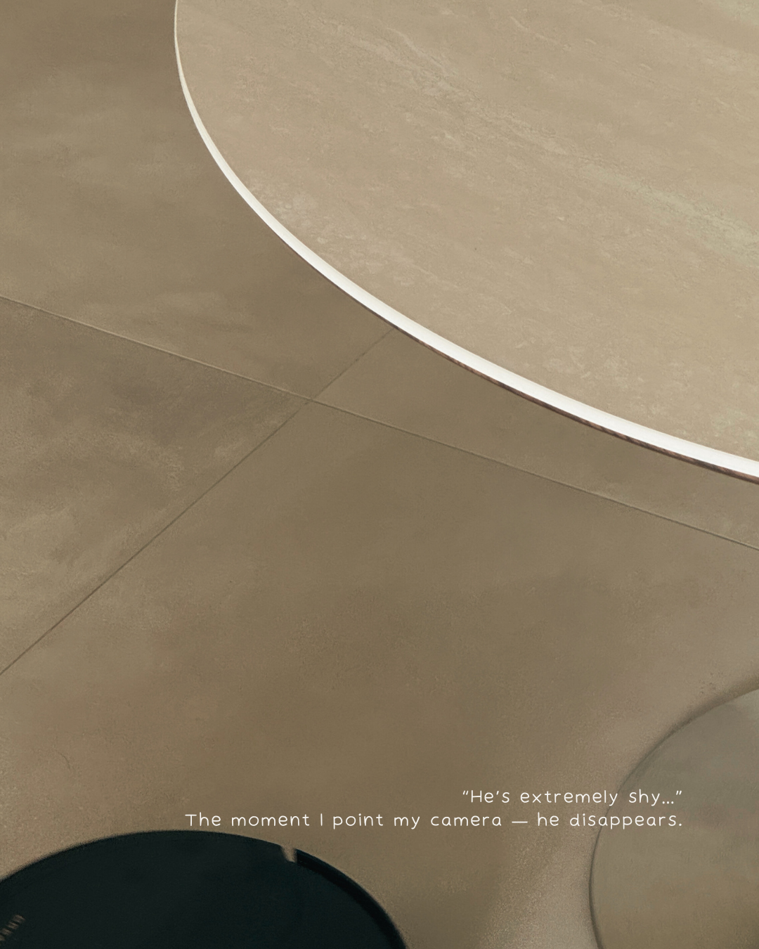 Acts like he owns the house....