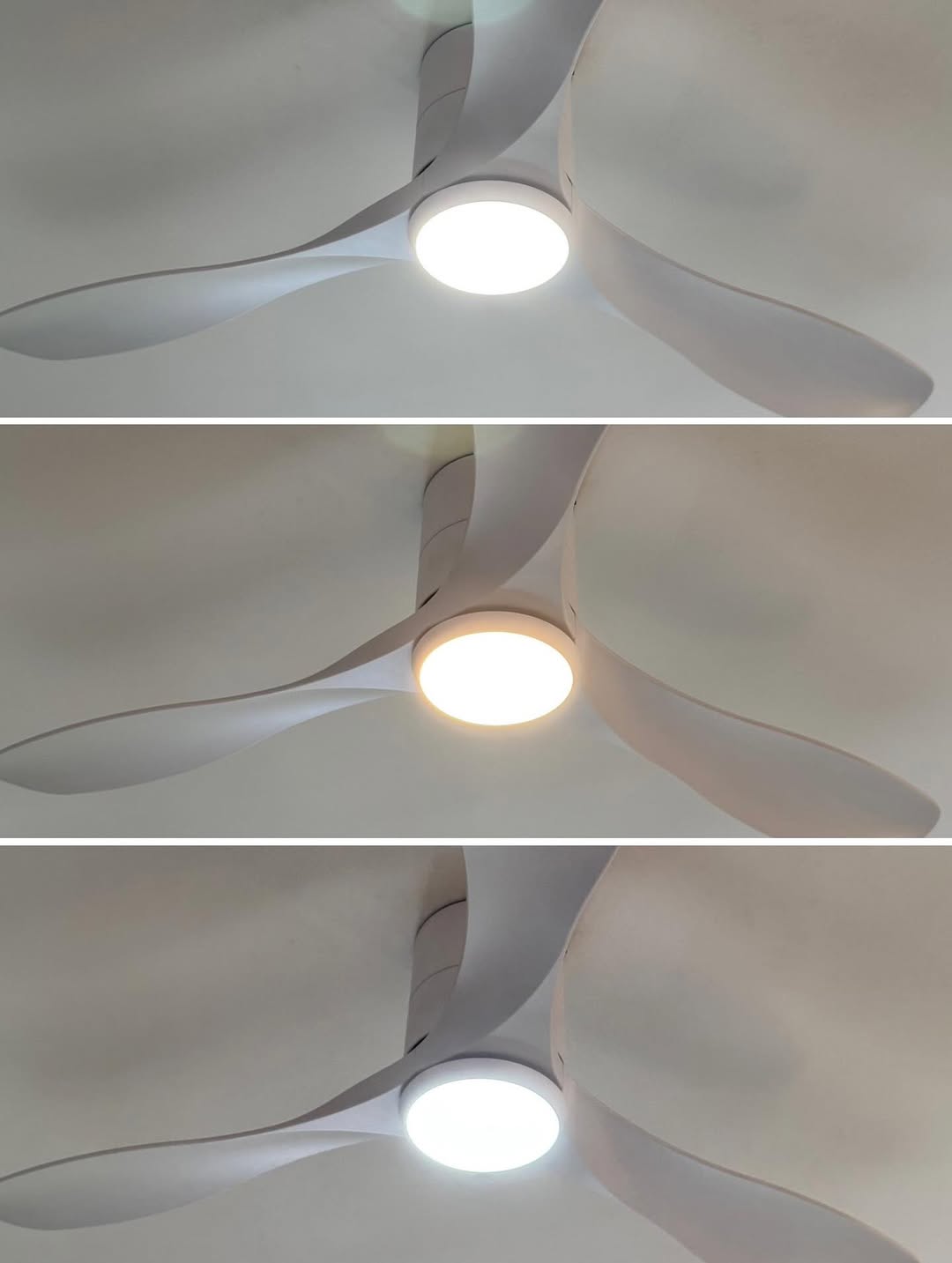 💨🌀 Ceiling Fans & Airflow Setup