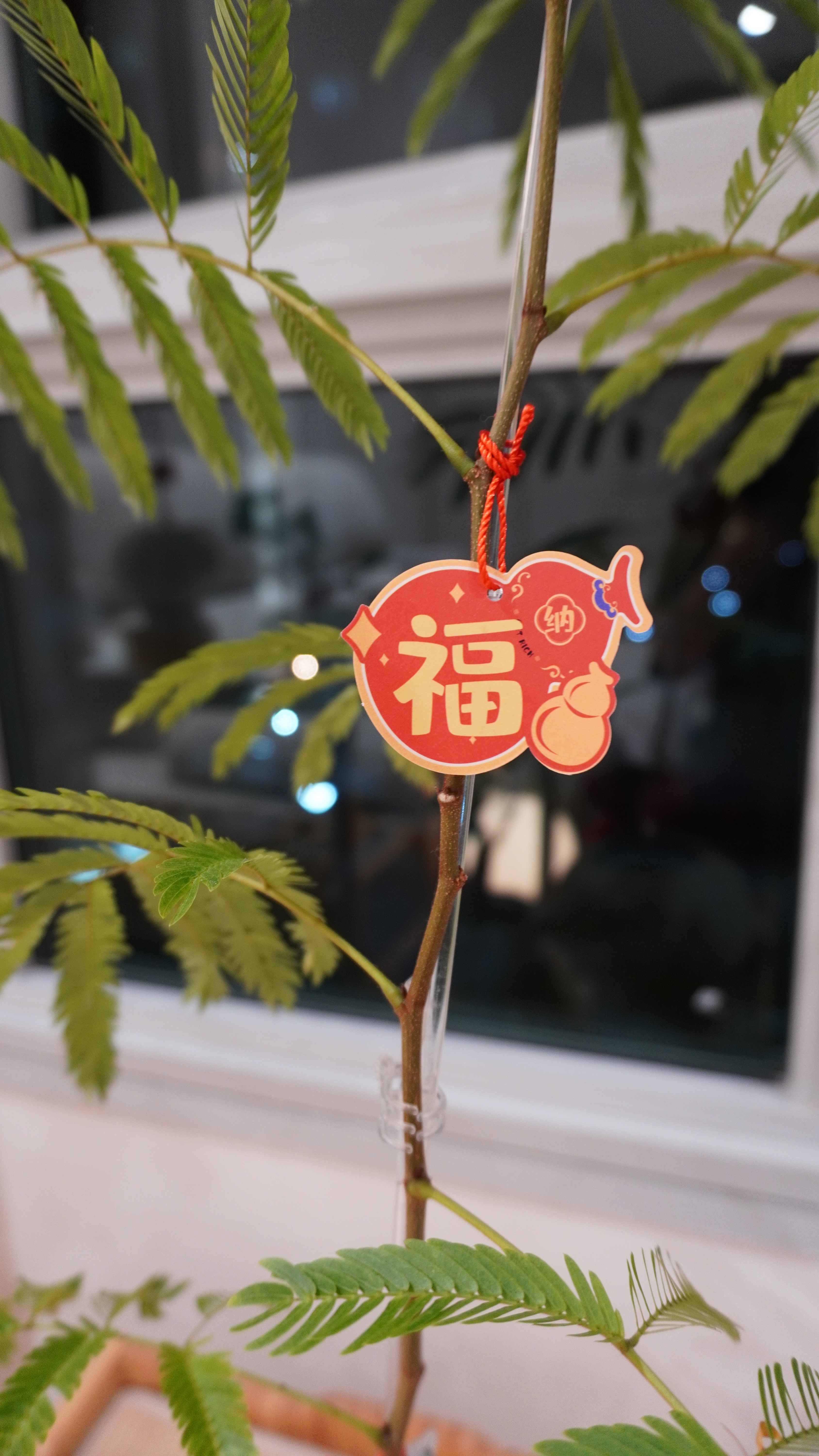 ✨Simple CNY Deco from TAOBAO✨