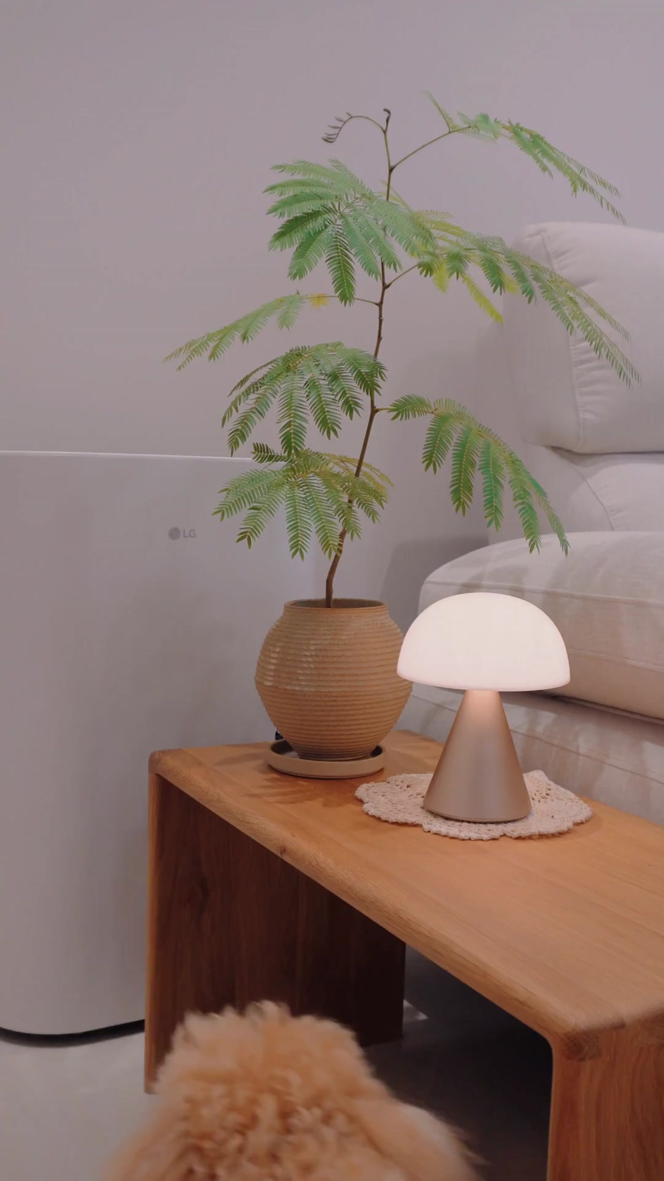 Our new side table… officially approved by Dog-Toffy