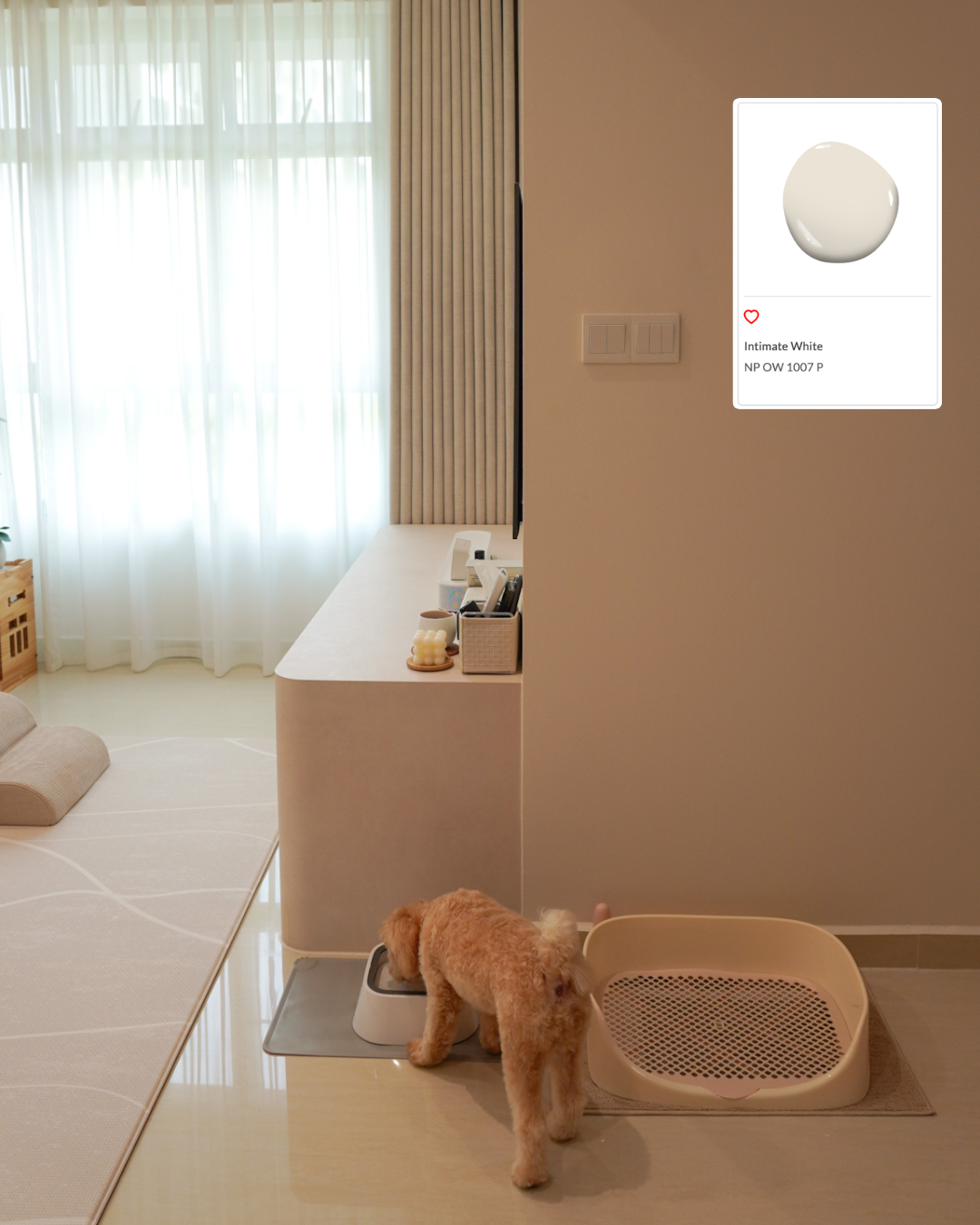 Our Resale HDB Paint Chart 🎨