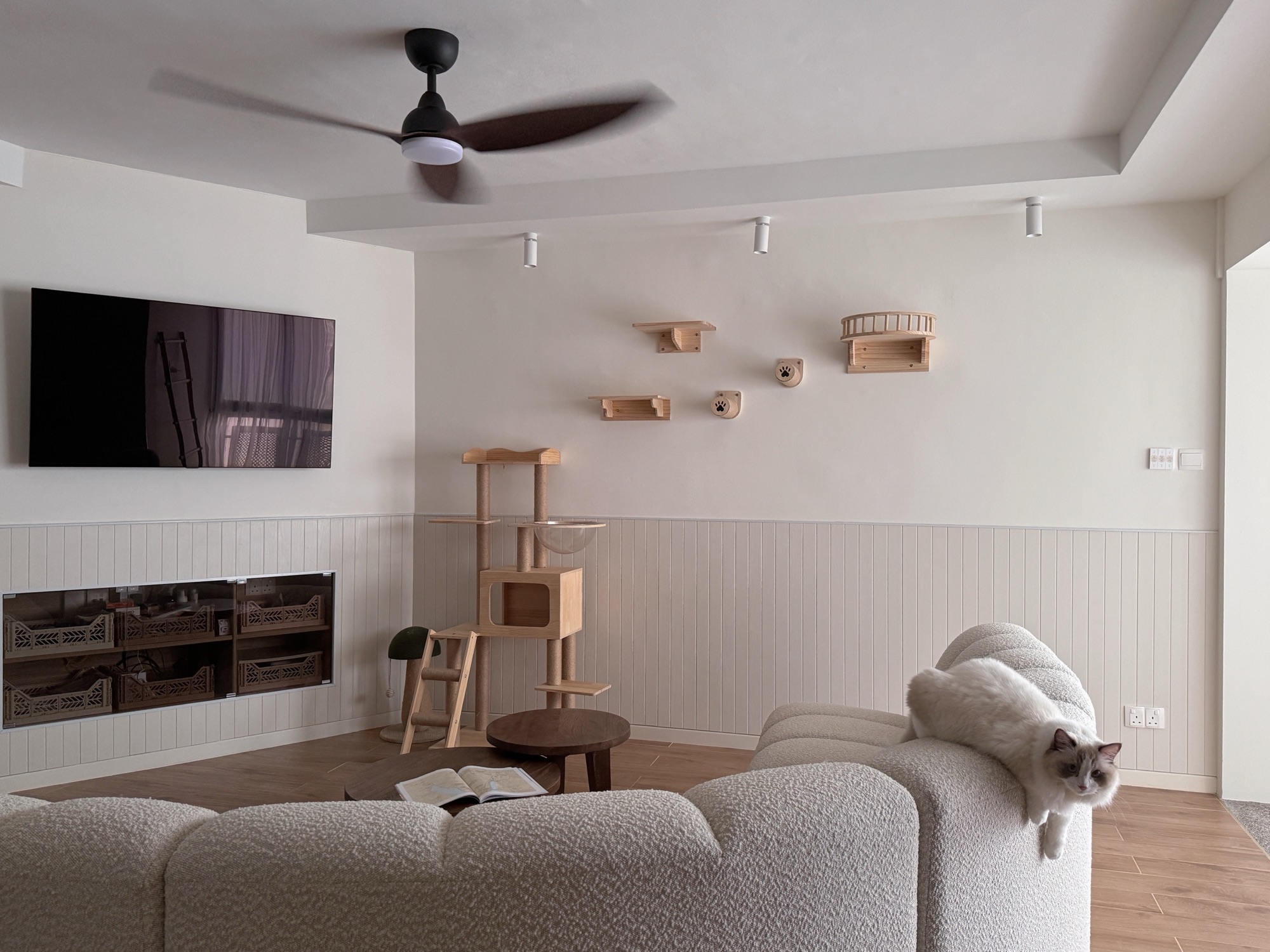 Quiet Curves Over Bold Arches