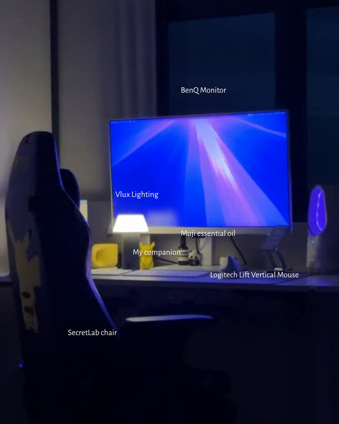 the little guy keeping me company at 10pm 🌙