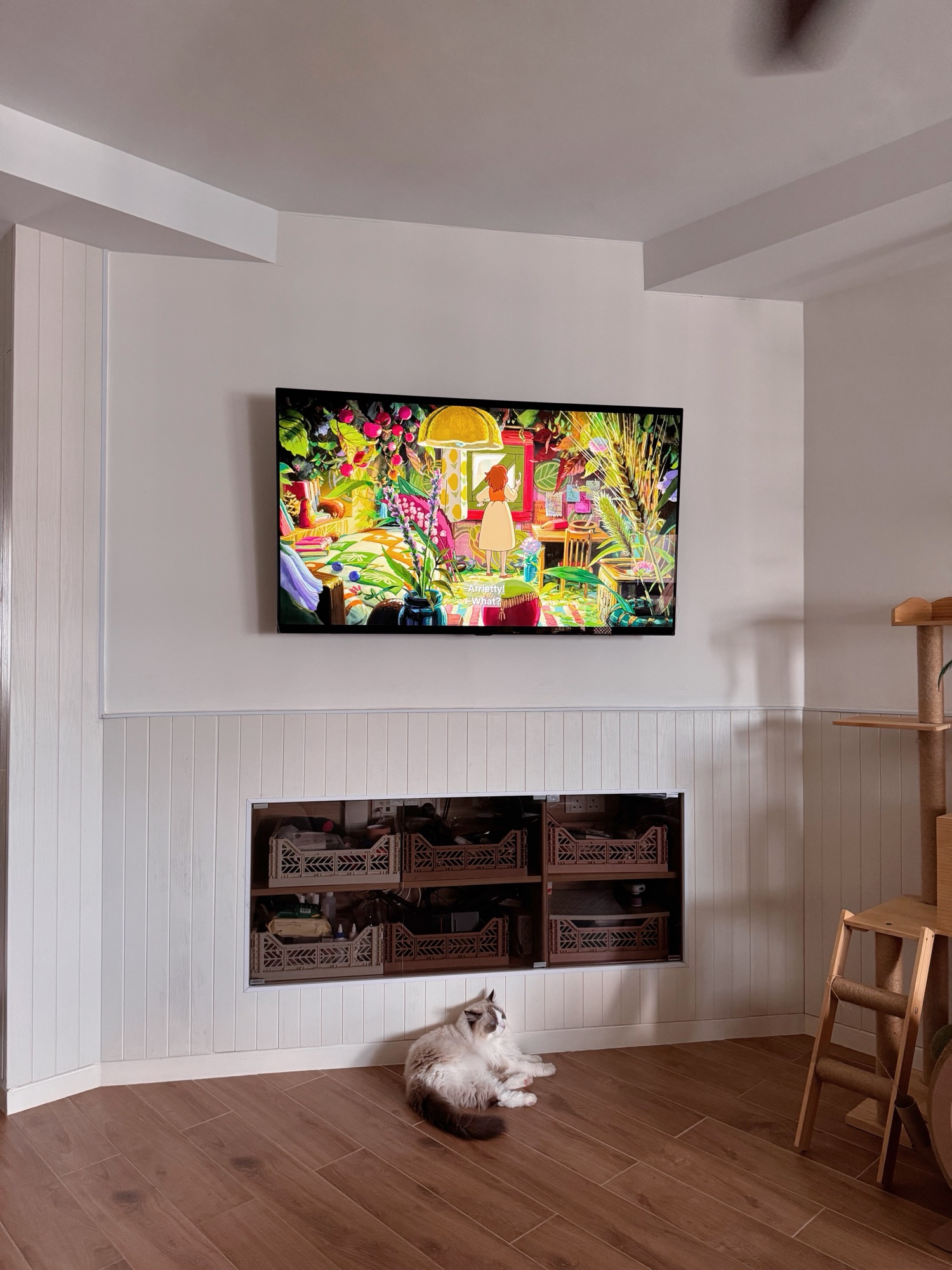 Doing-Away-With-the-Traditional-TV-Console