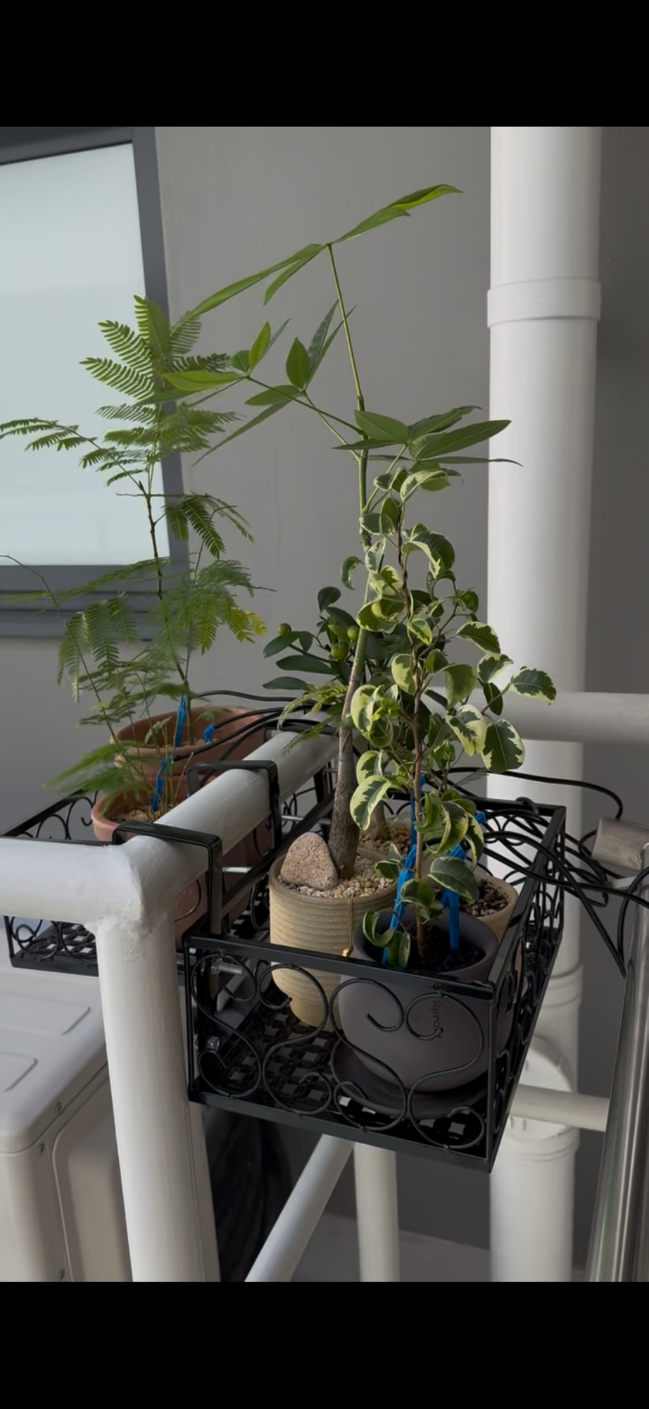 Our Pre-Travel Garden Set-up