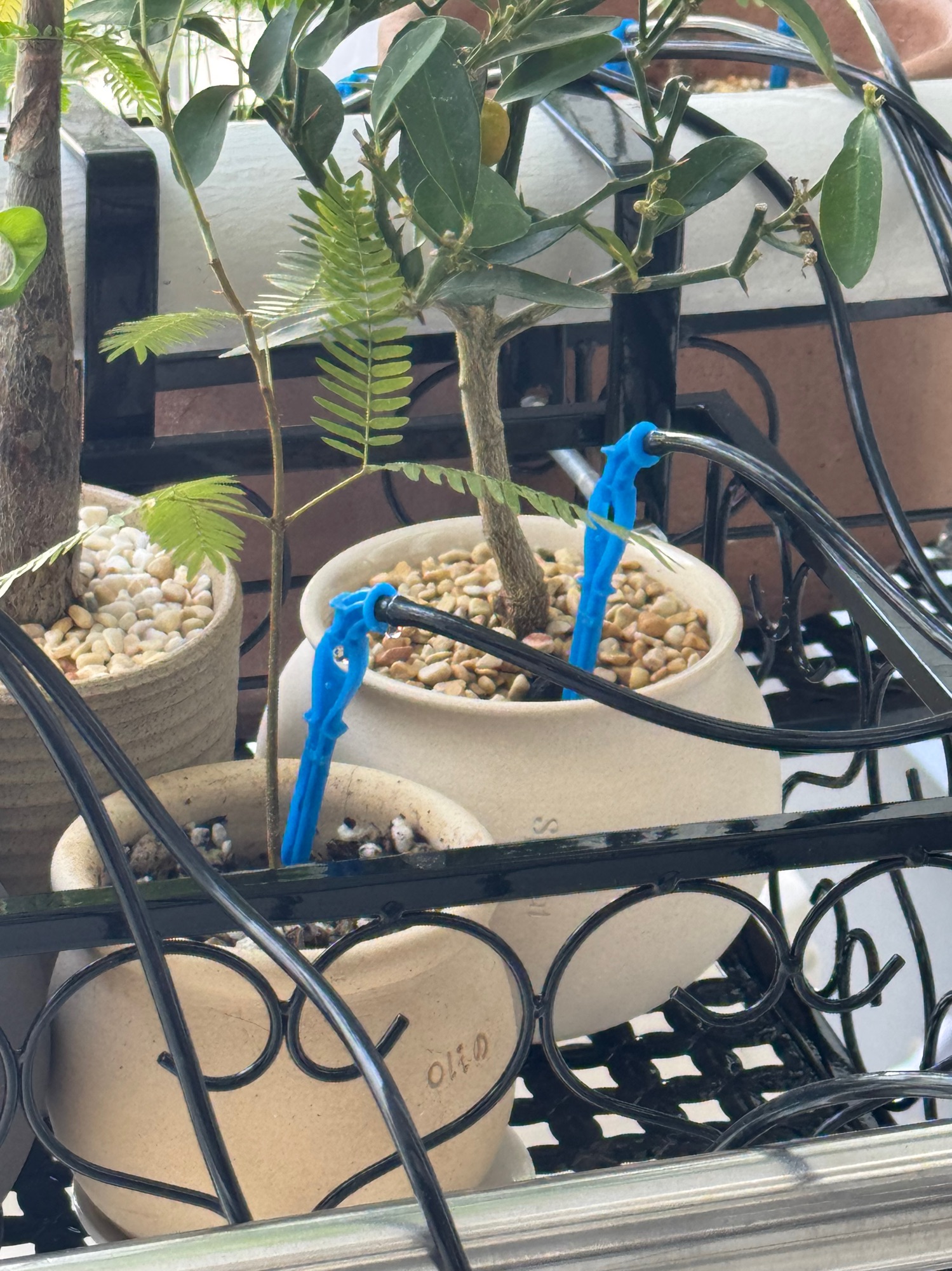 Our Pre-Travel Garden Set-up