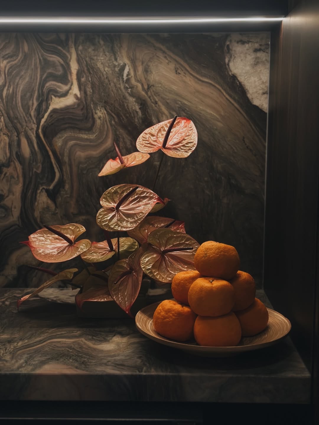 Best neighbours one can ever ask for