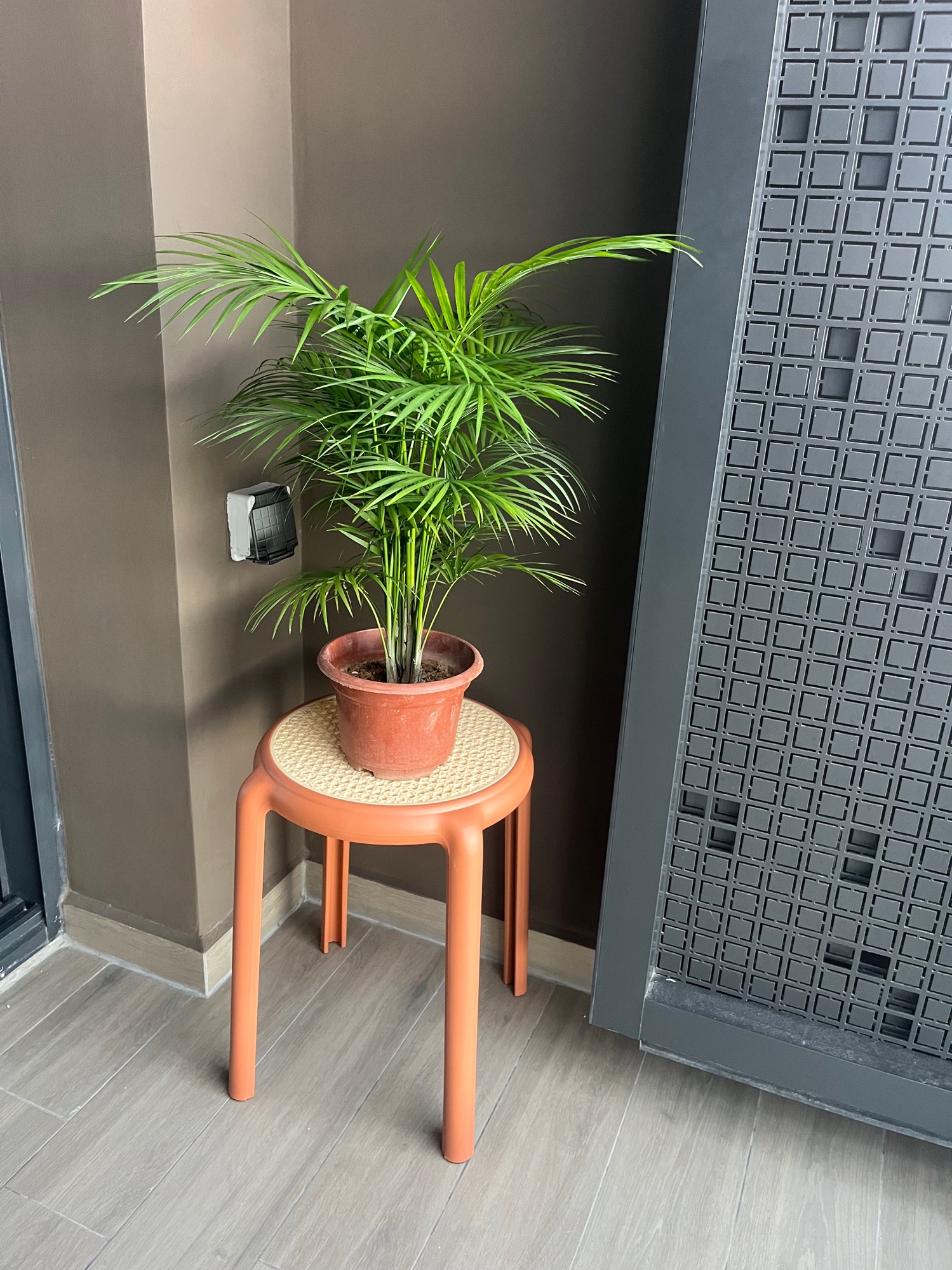 Make every corner visually interesting in your tiny apartment