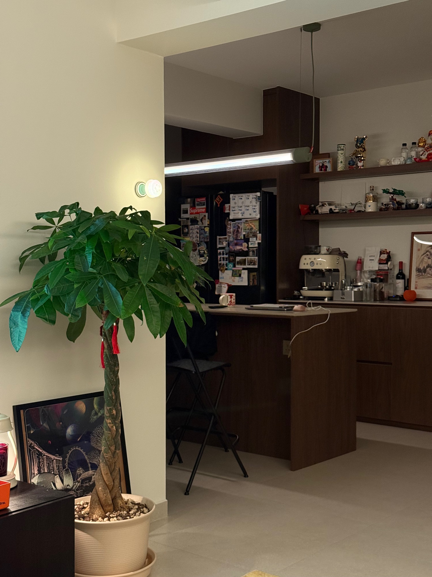 Our weekday nights 🌒