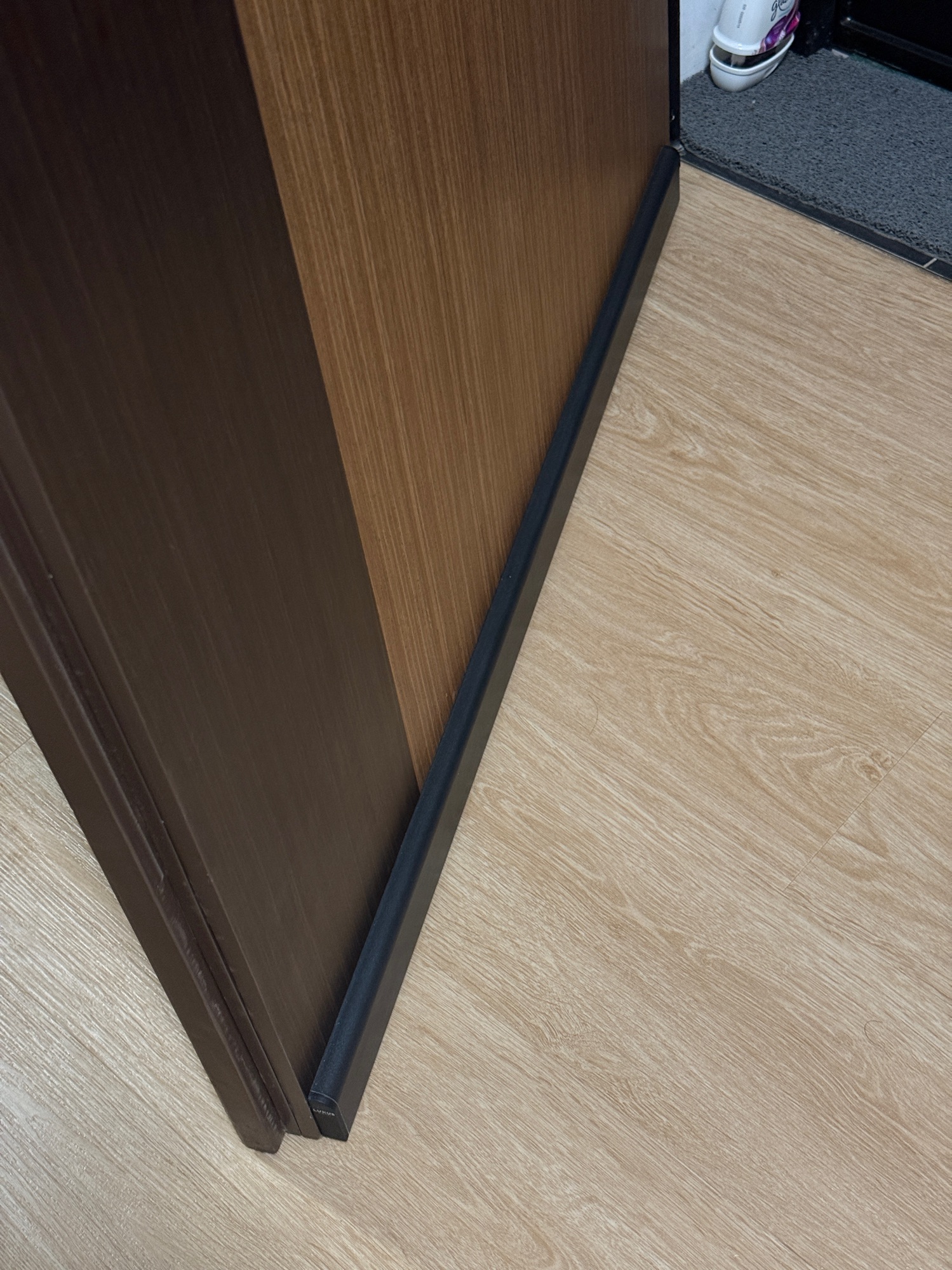 4 Must Have for Our BTO Main Door 🚪