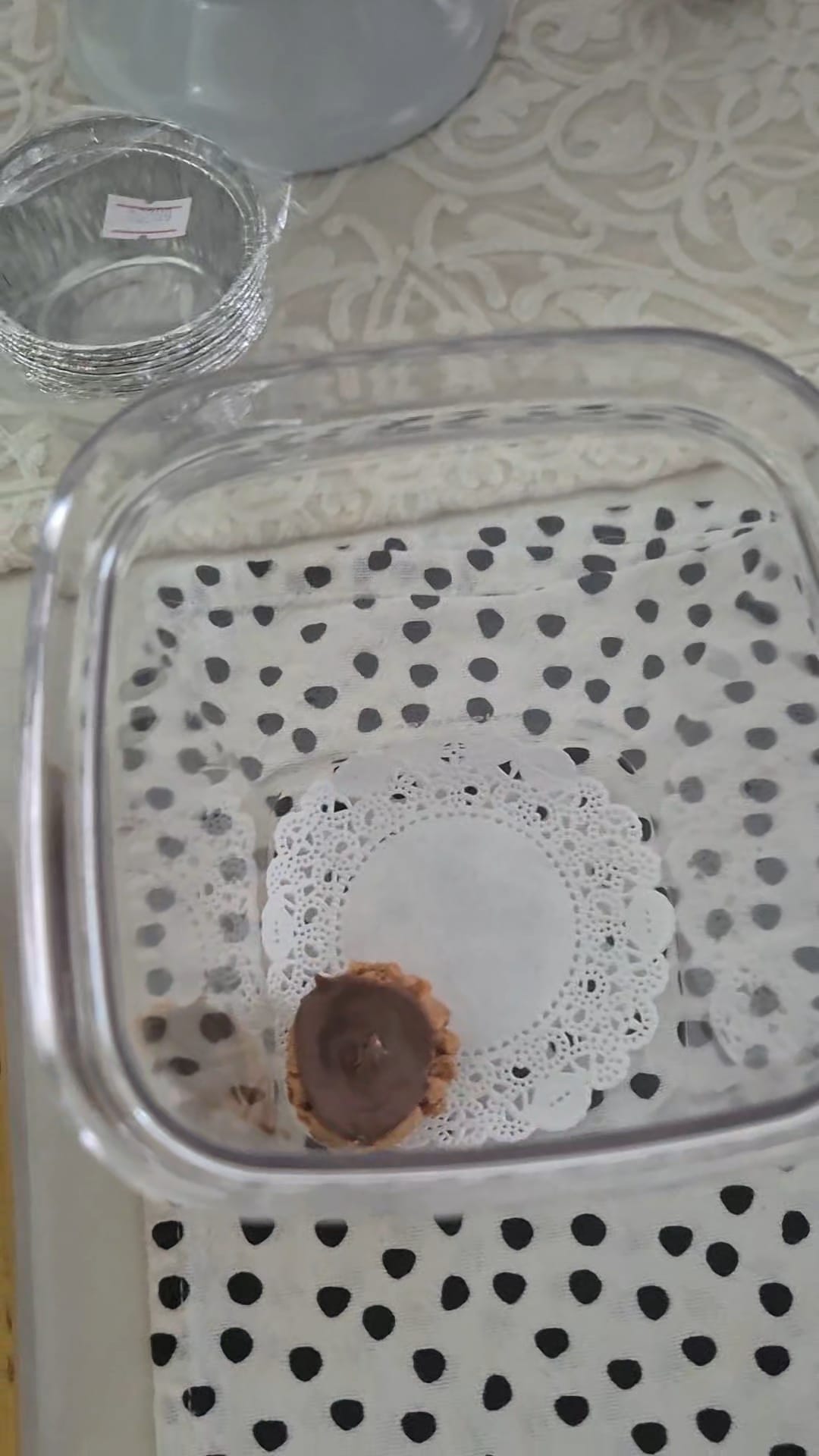 The only container brand you ever need for storing festive cookies!