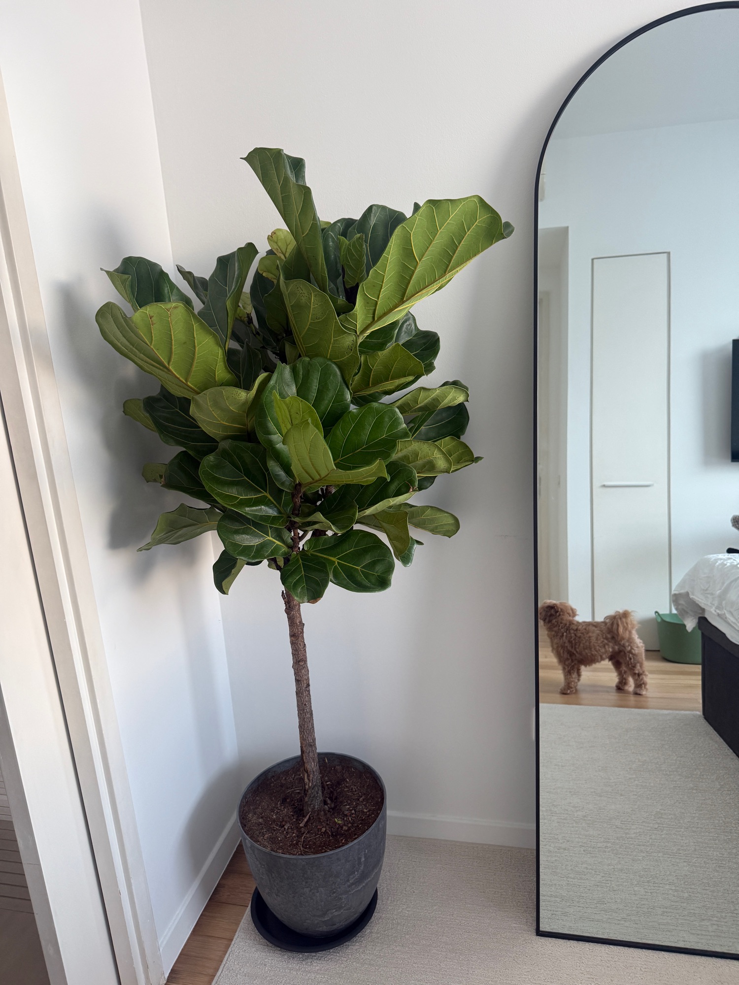 The little things make our home home.