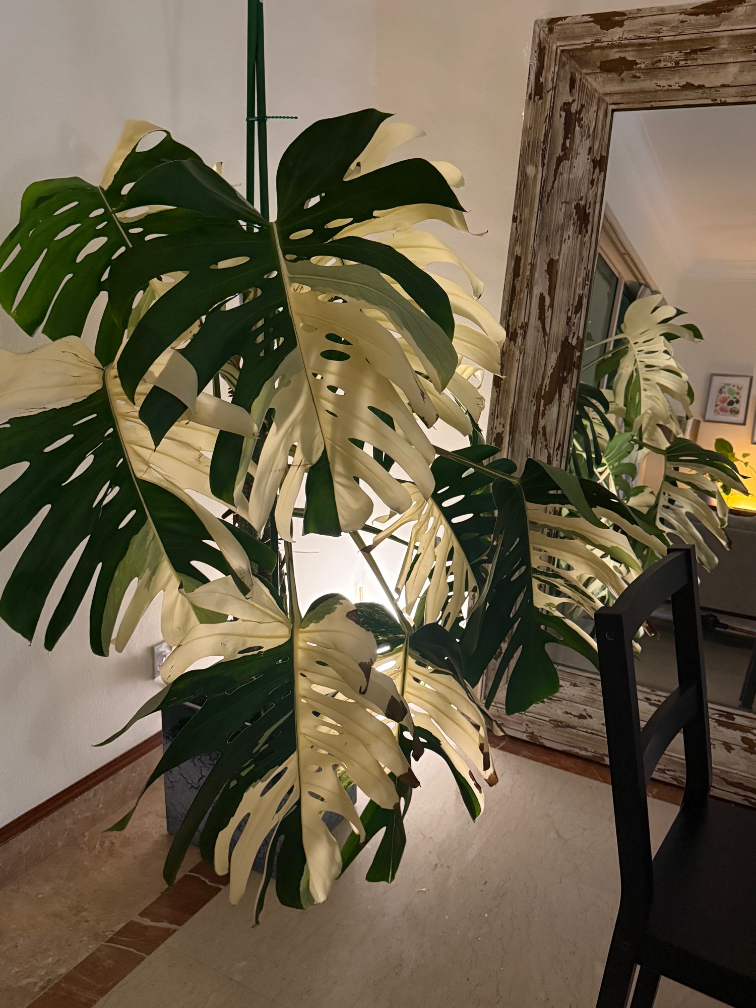 Mid-century modern with IKEA finds