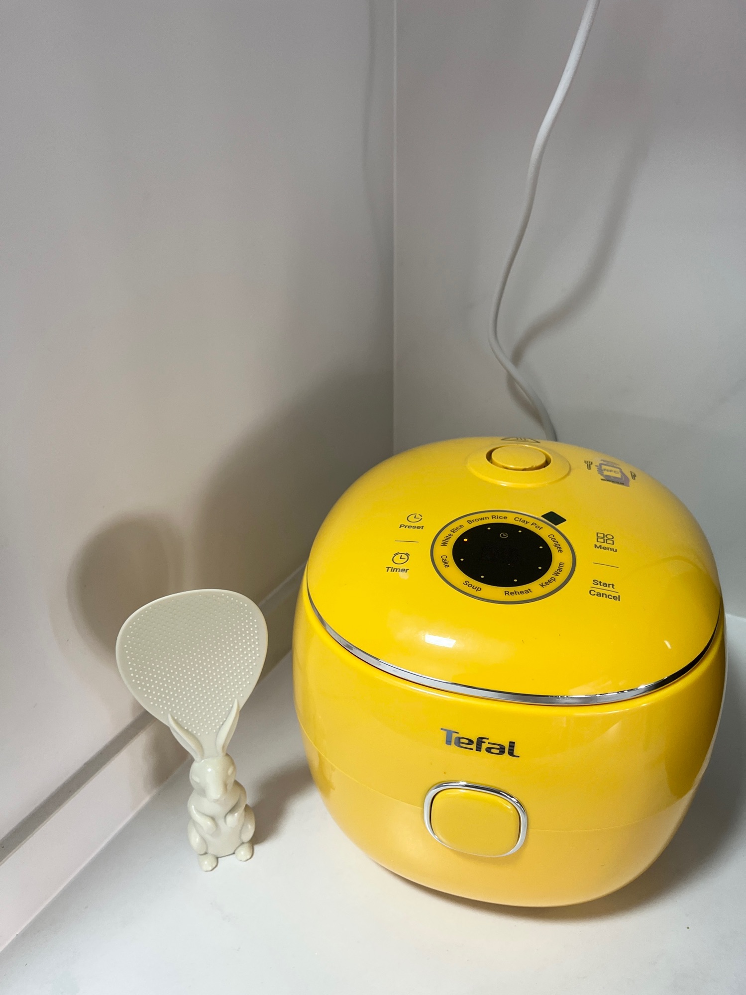 Minimal Effort, Maximum Comfort: Salmon Ochazuke