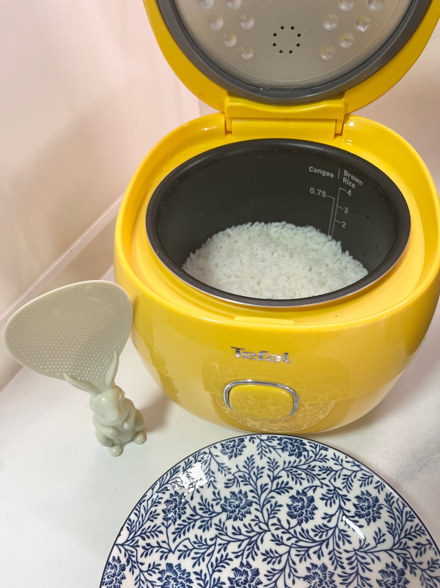 Minimal Effort, Maximum Comfort: Salmon Ochazuke