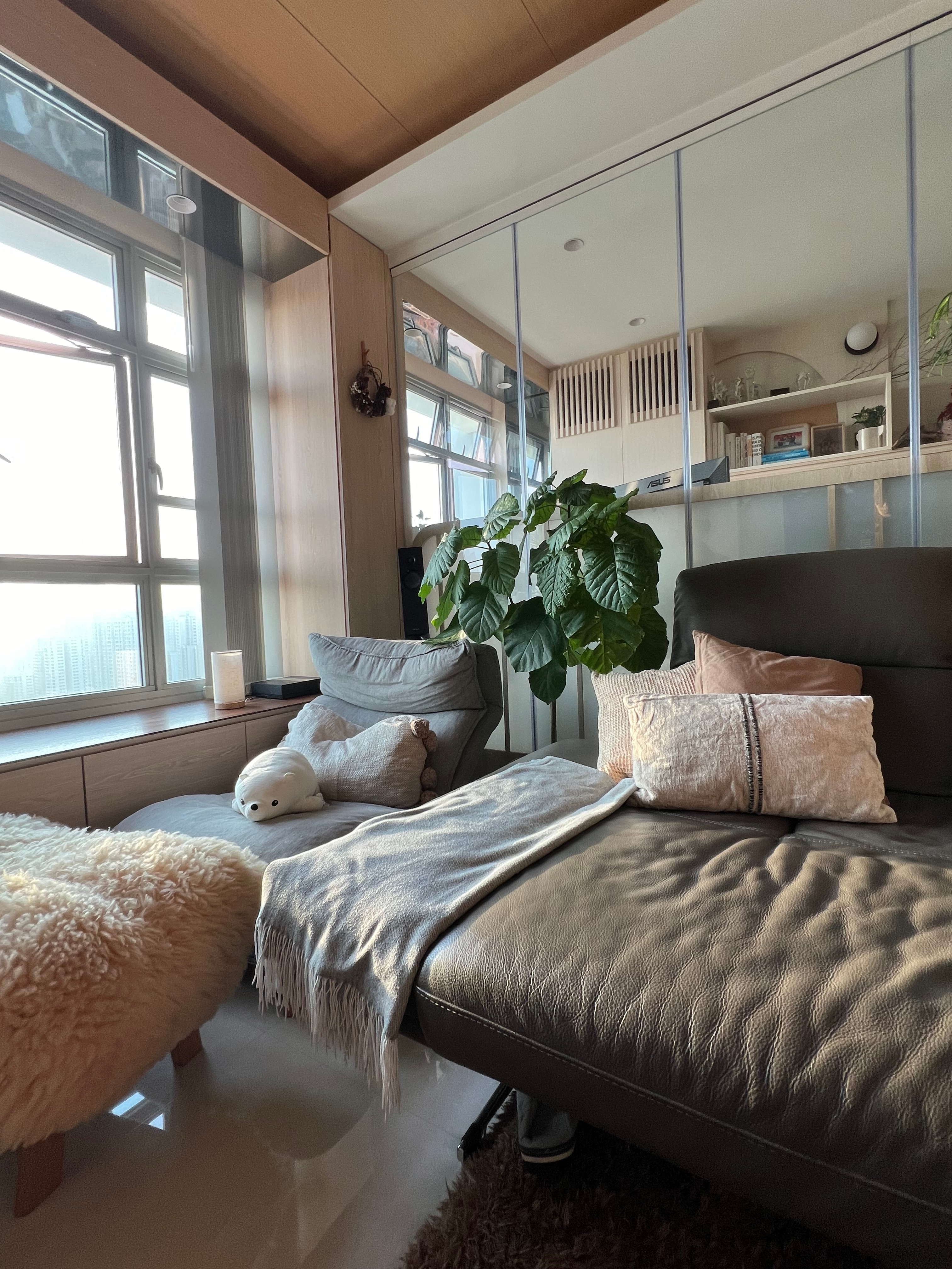 Easy-plants-for-beginner-plant-parents-🌿