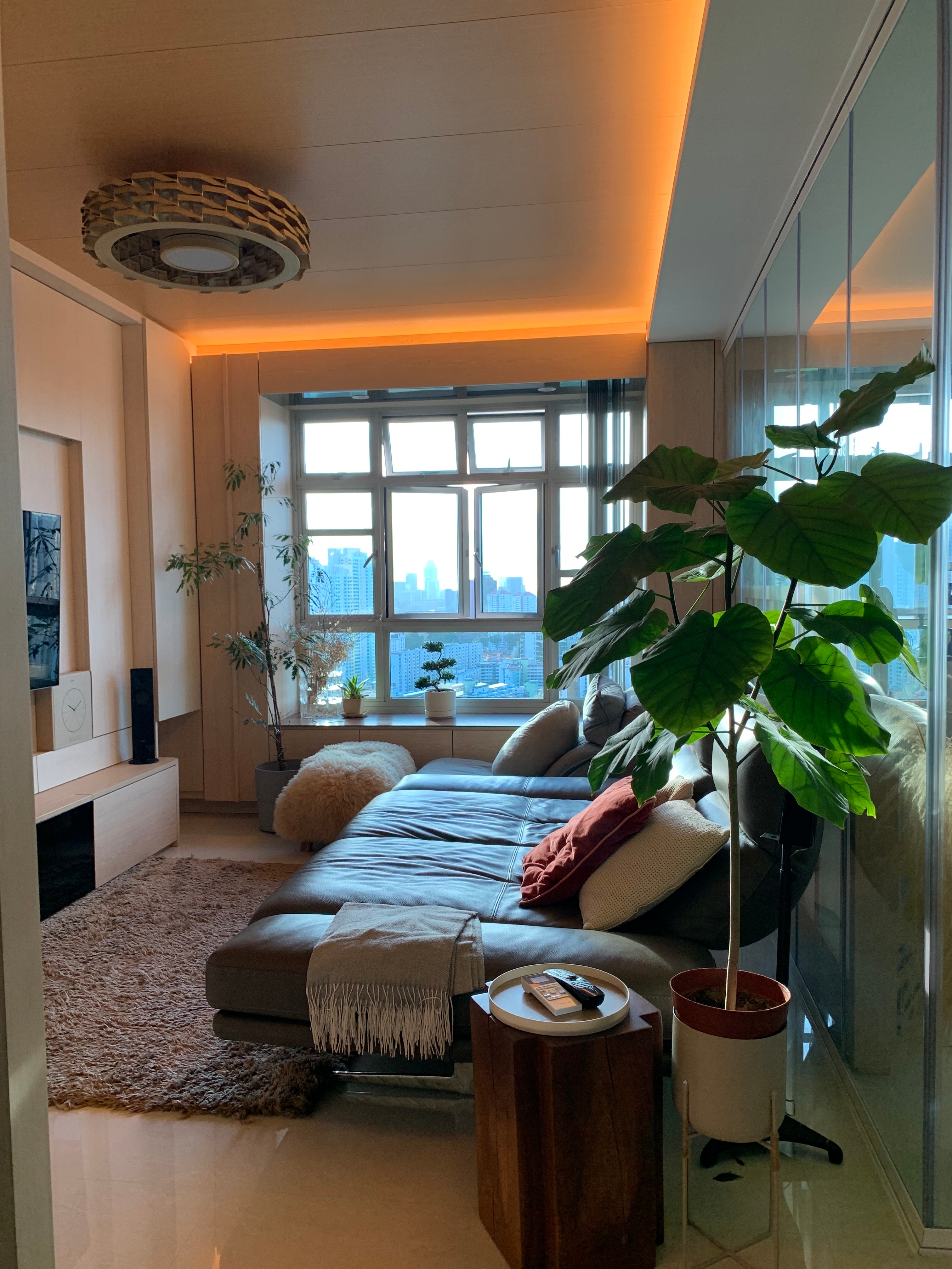 Easy plants for beginner plant parents 🌿