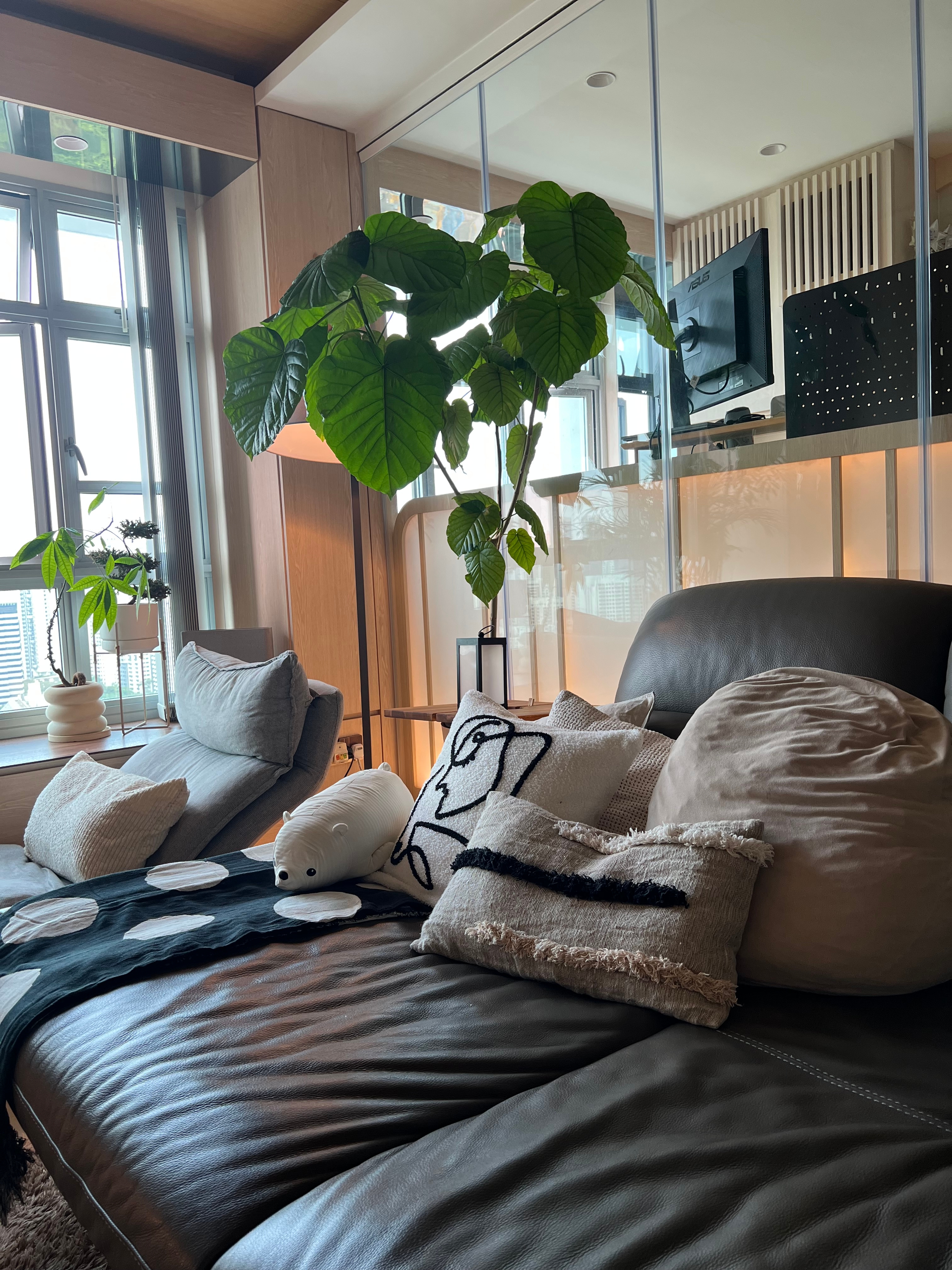 Easy plants for beginner plant parents 🌿