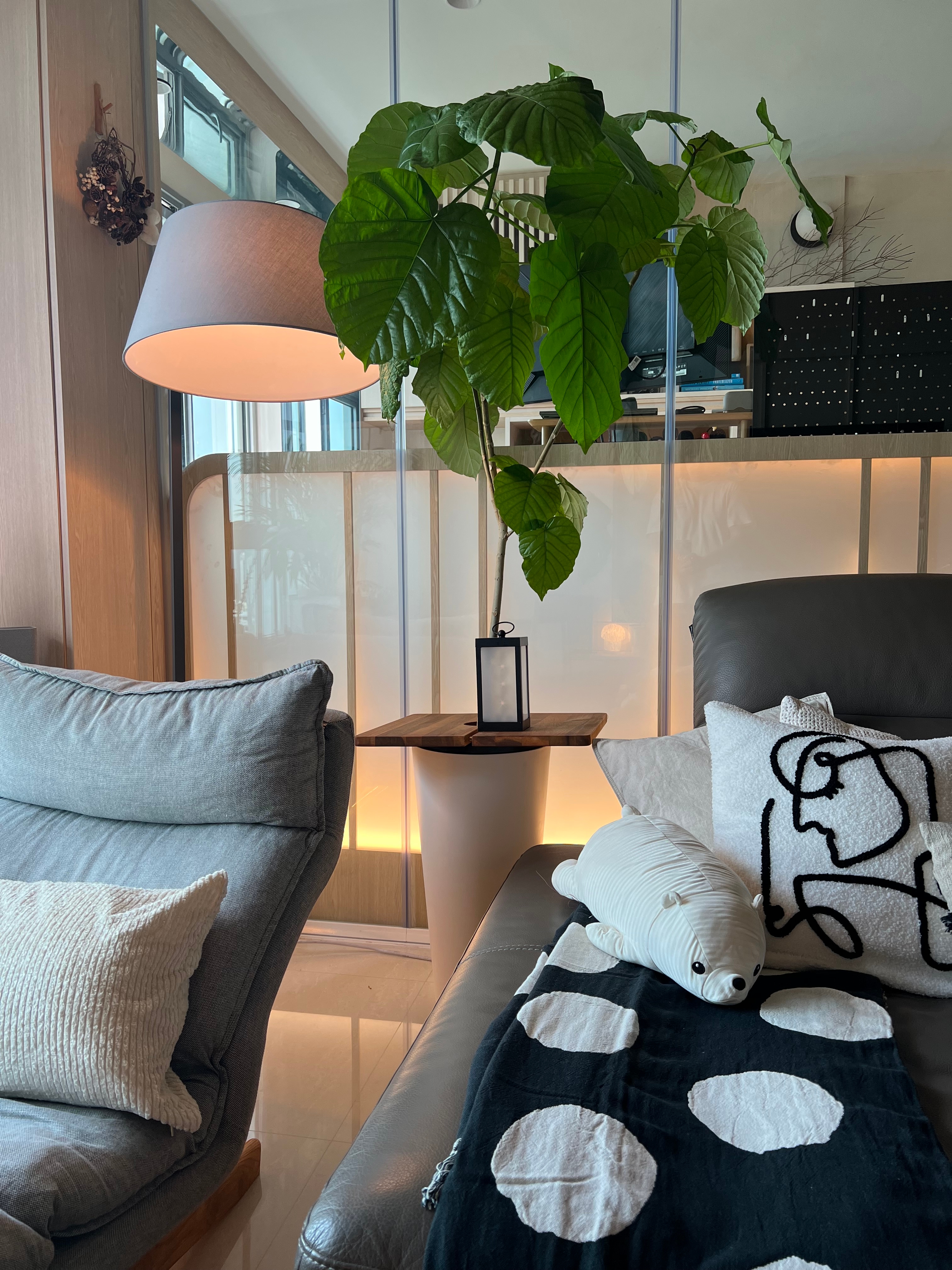 Easy plants for beginner plant parents 🌿