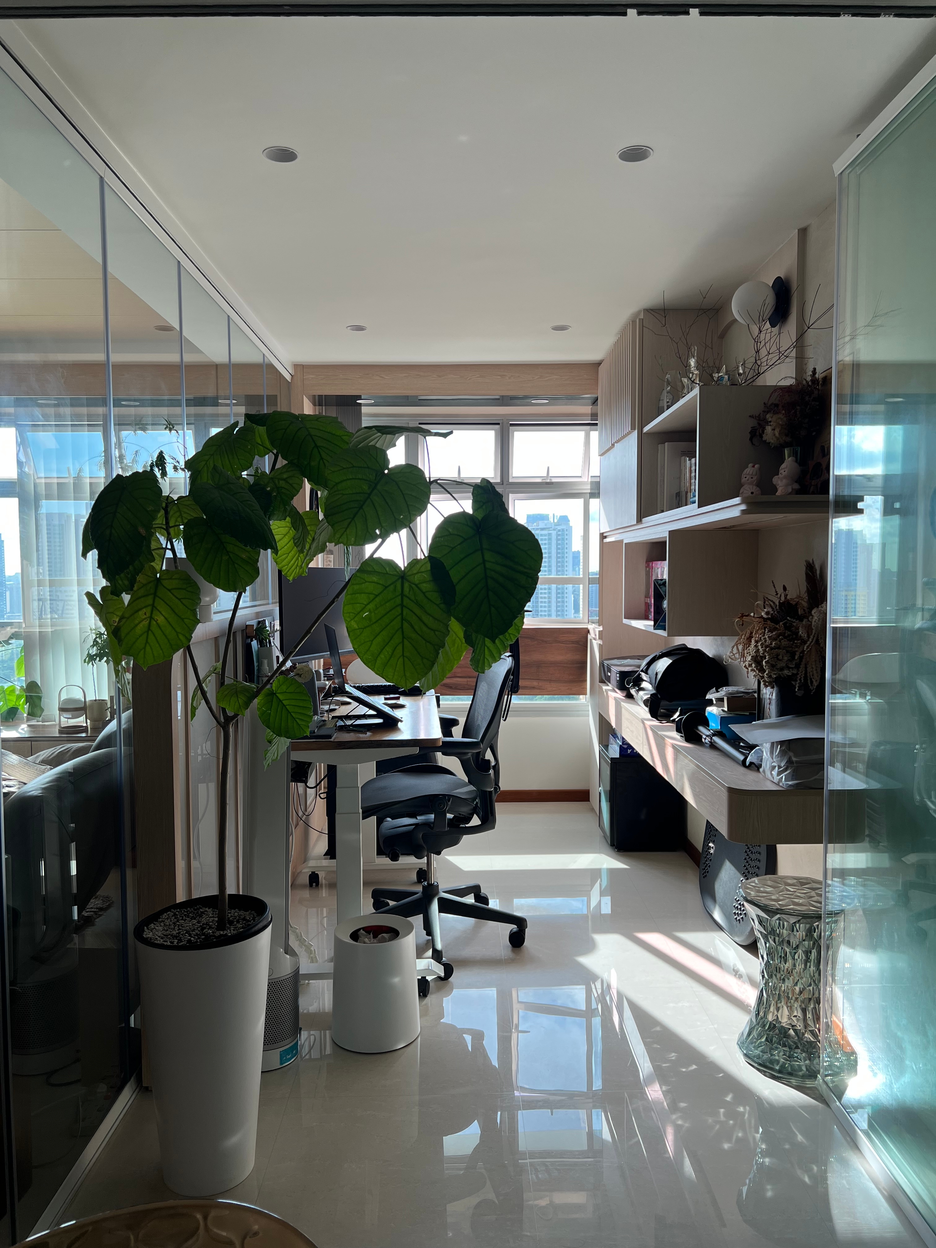 Easy plants for beginner plant parents 🌿