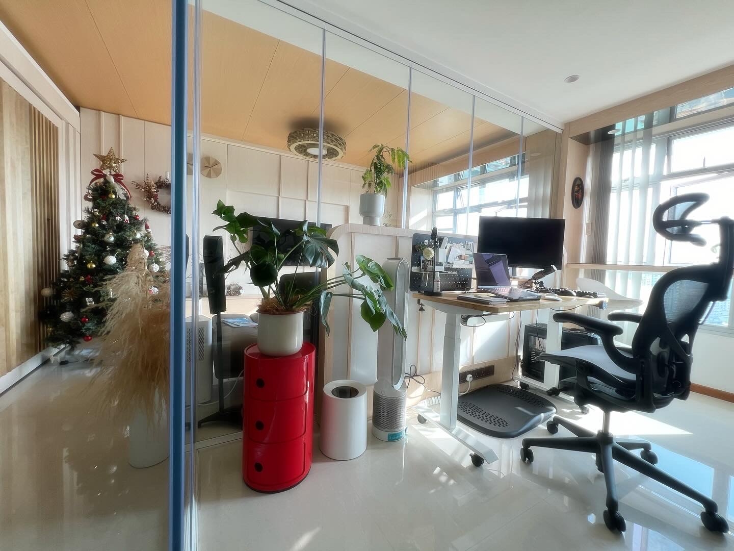 Easy plants for beginner plant parents 🌿