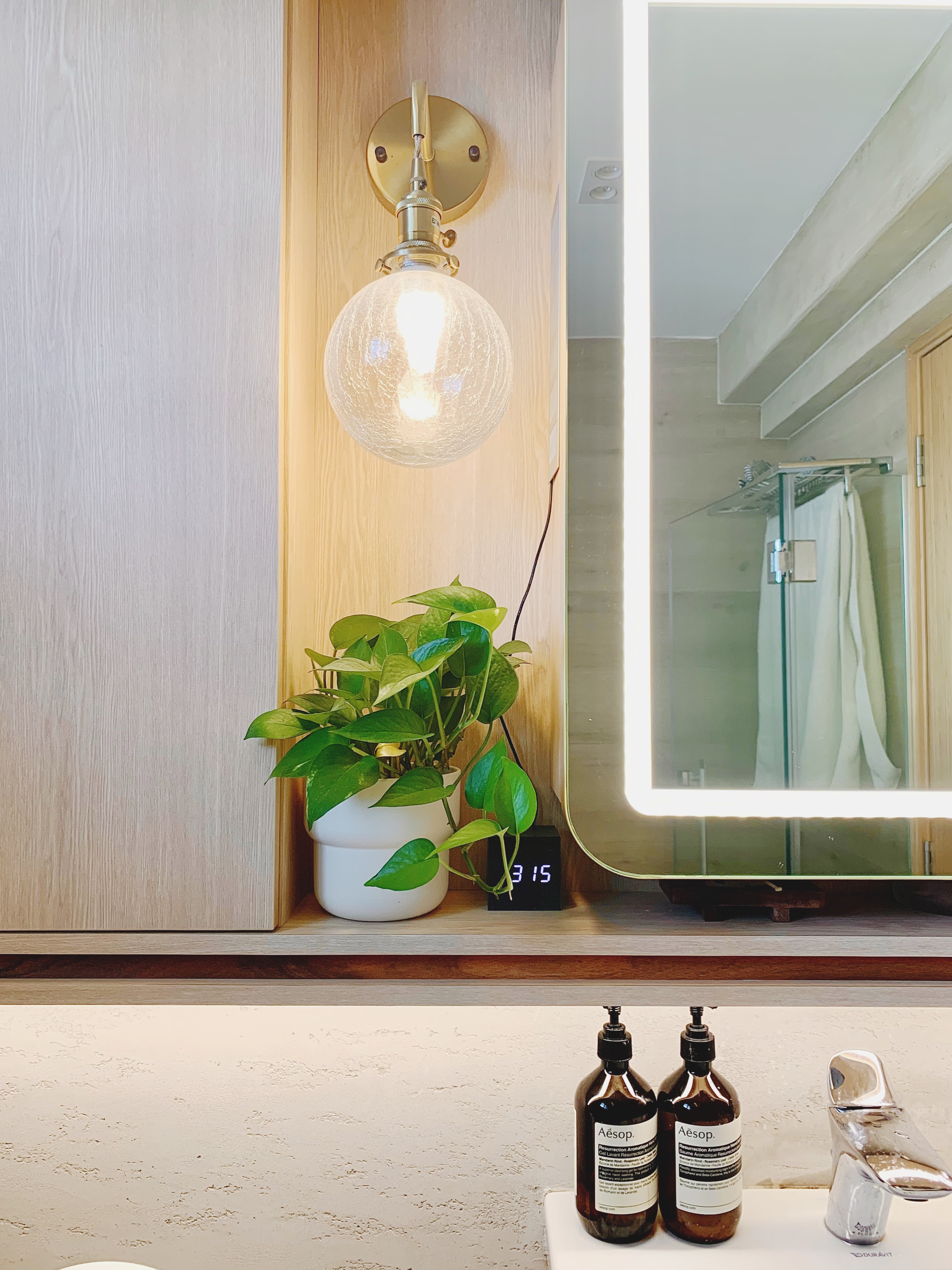 Easy plants for beginner plant parents 🌿