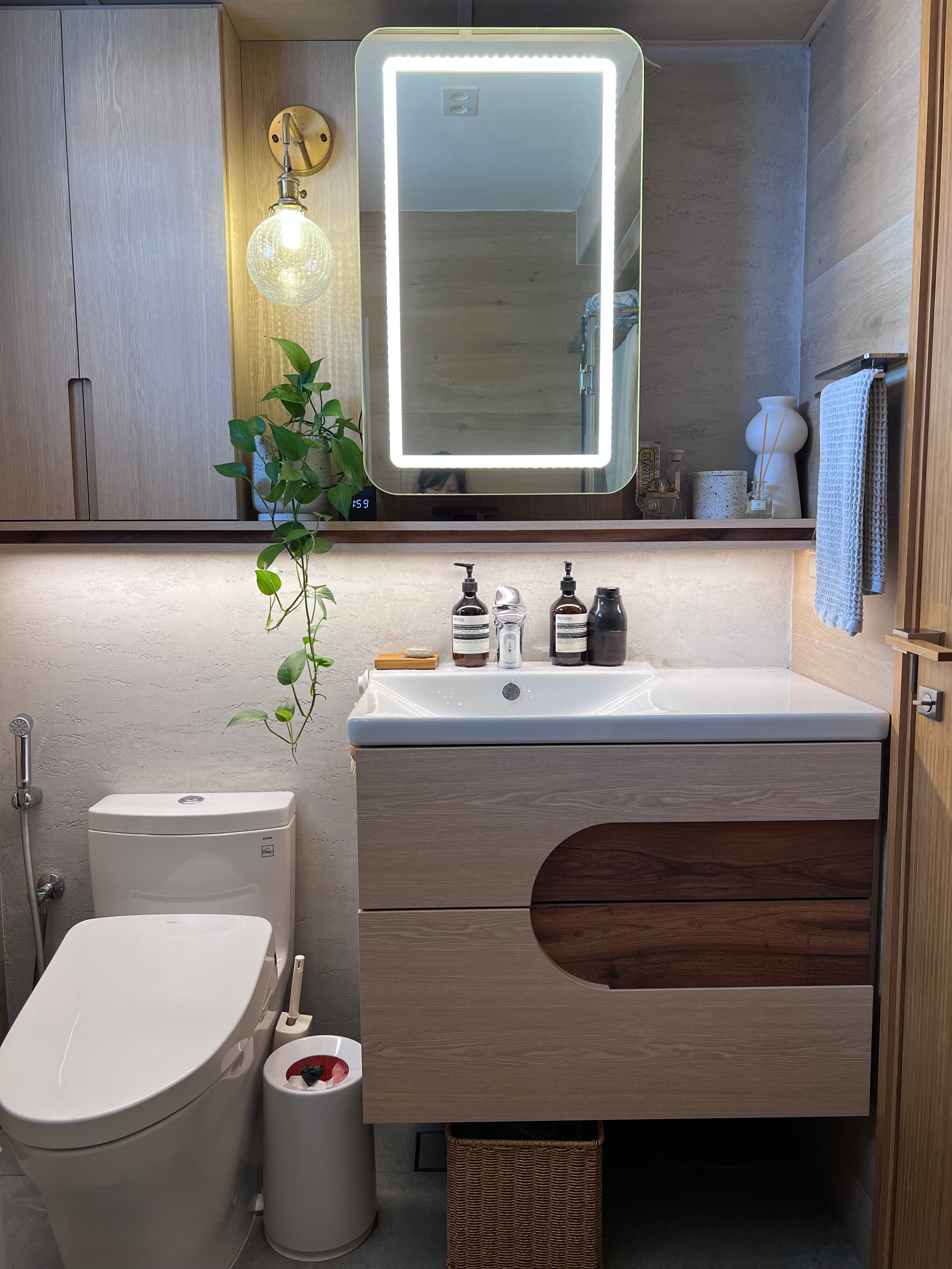 Easy plants for beginner plant parents 🌿