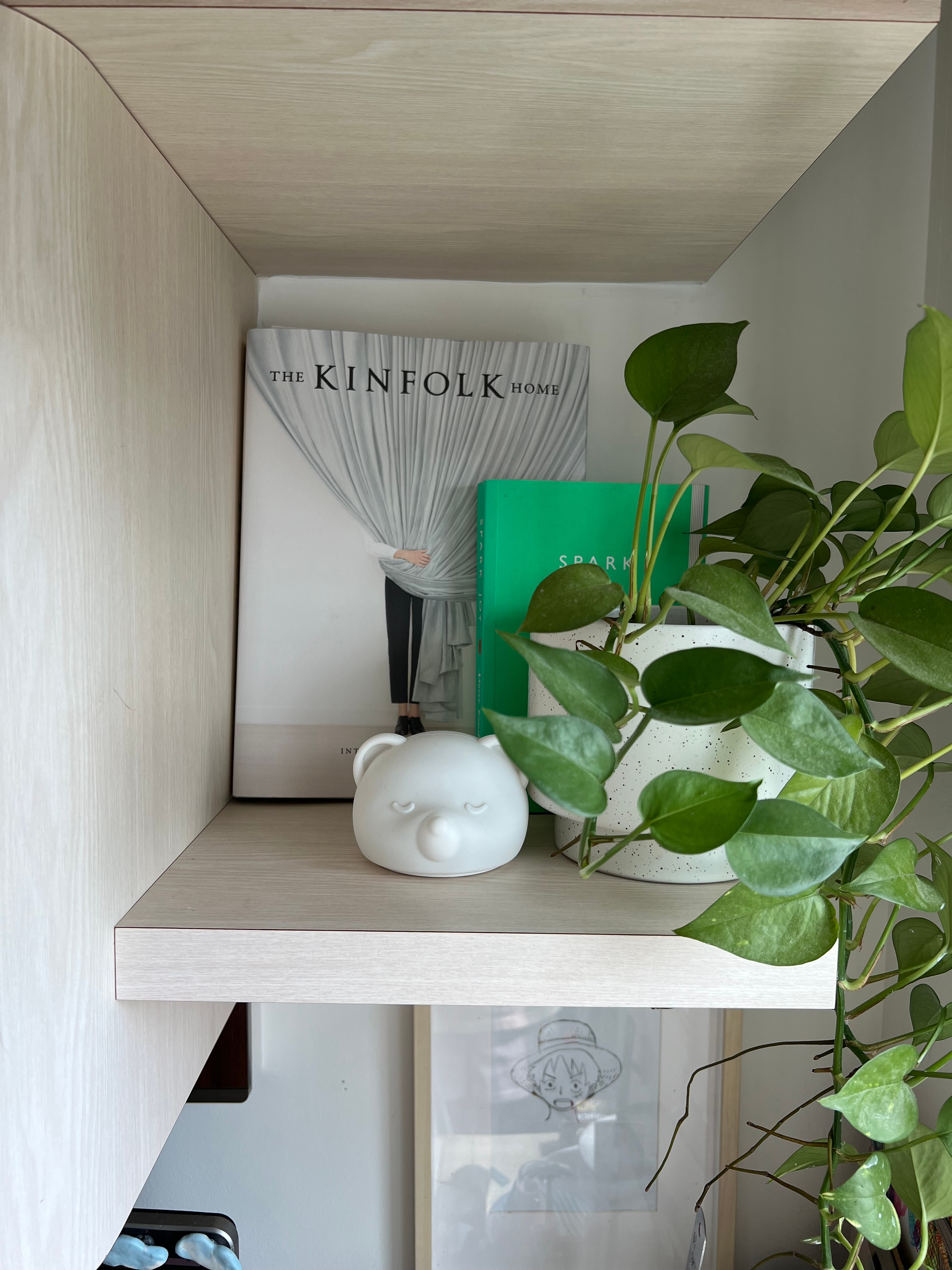 Easy plants for beginner plant parents 🌿