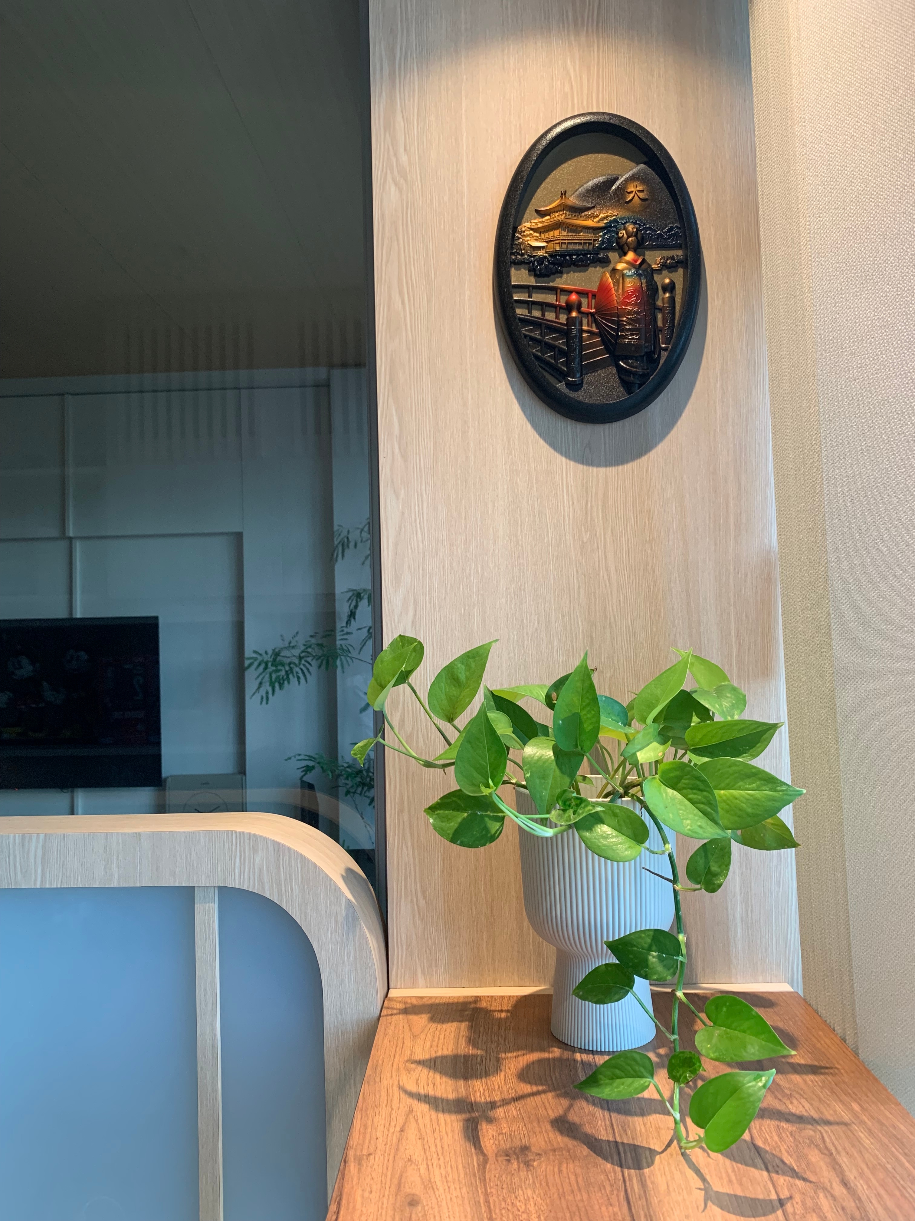 Easy plants for beginner plant parents 🌿