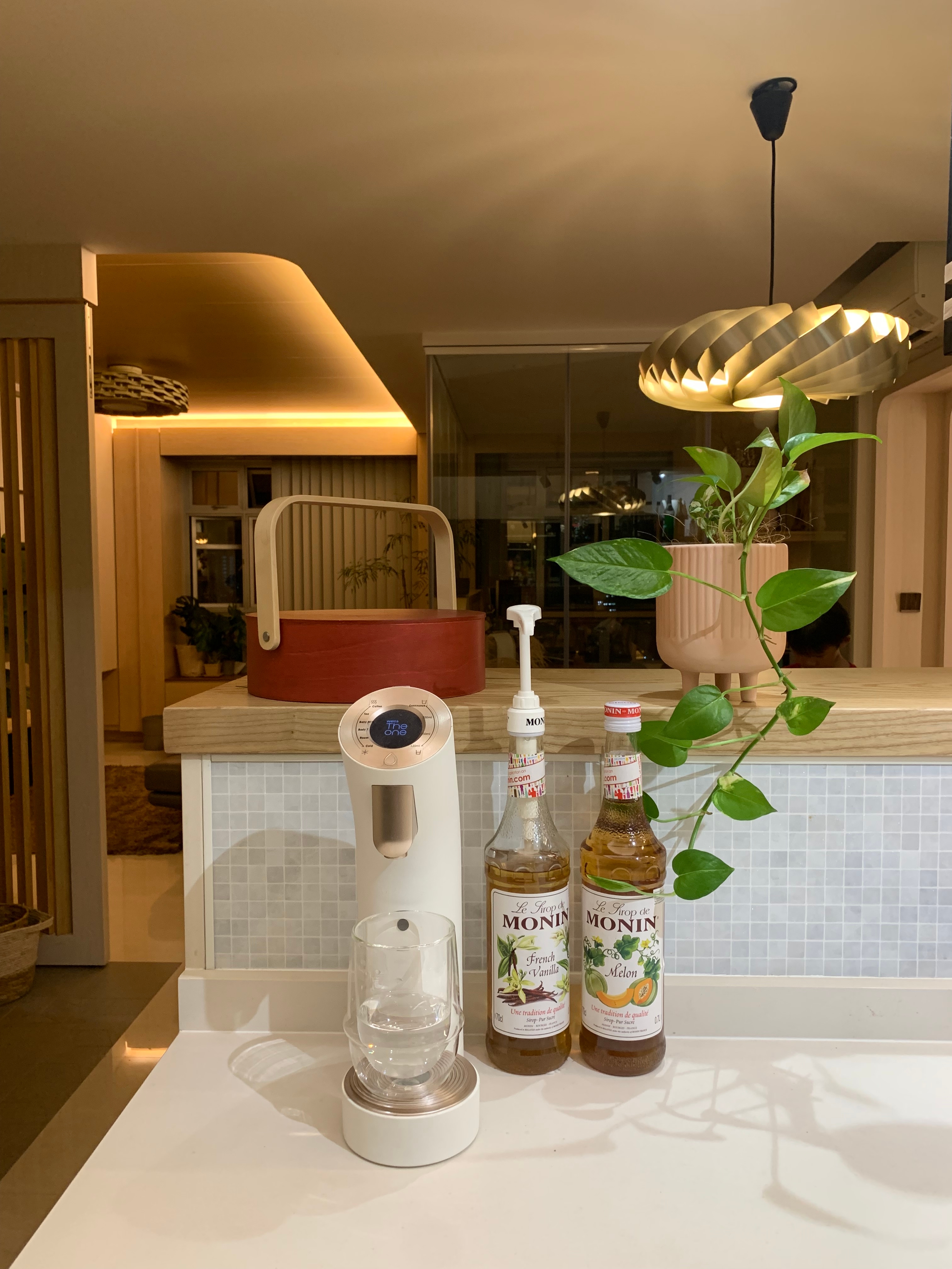 Easy plants for beginner plant parents 🌿