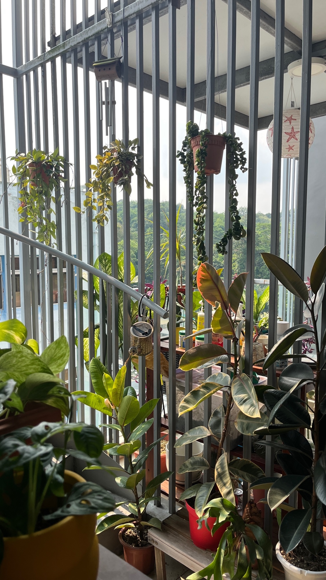 My Home Story: a whimsical 1br penthouse with a pool ☀️ Plants & fun!