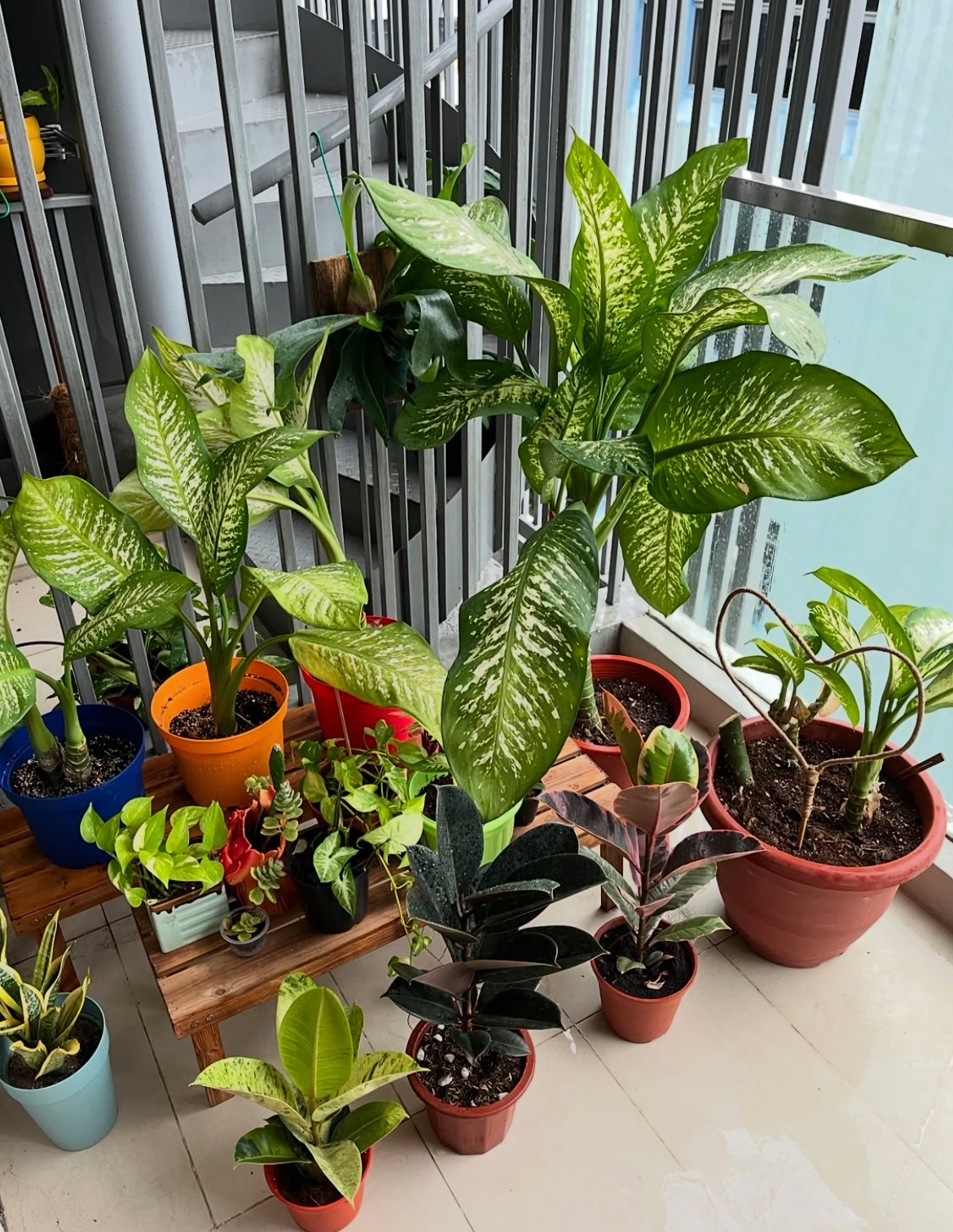 My balcony needs more love ❤️‍🩹