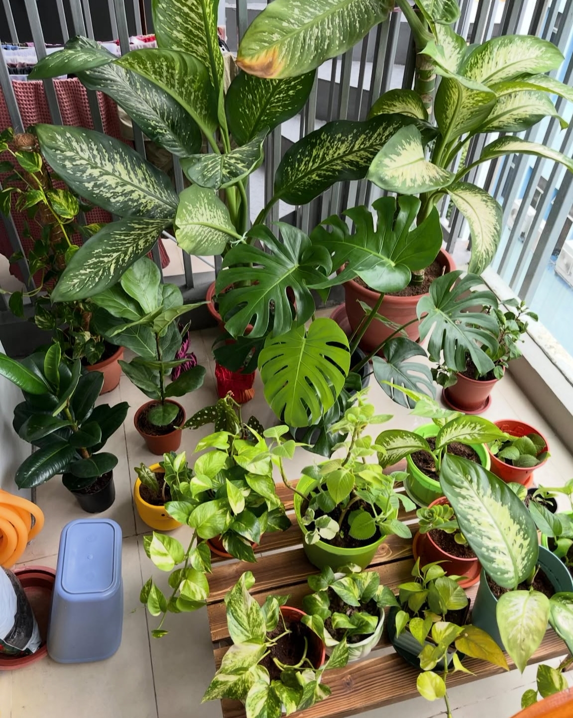 My balcony needs more love ❤️‍🩹