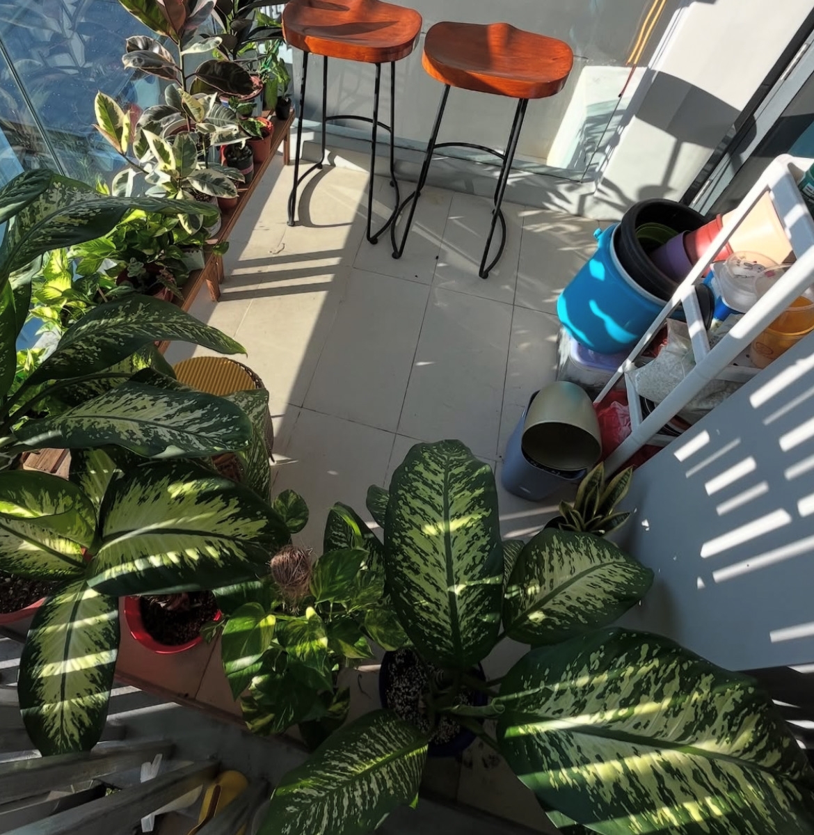 My balcony needs more love ❤️‍🩹