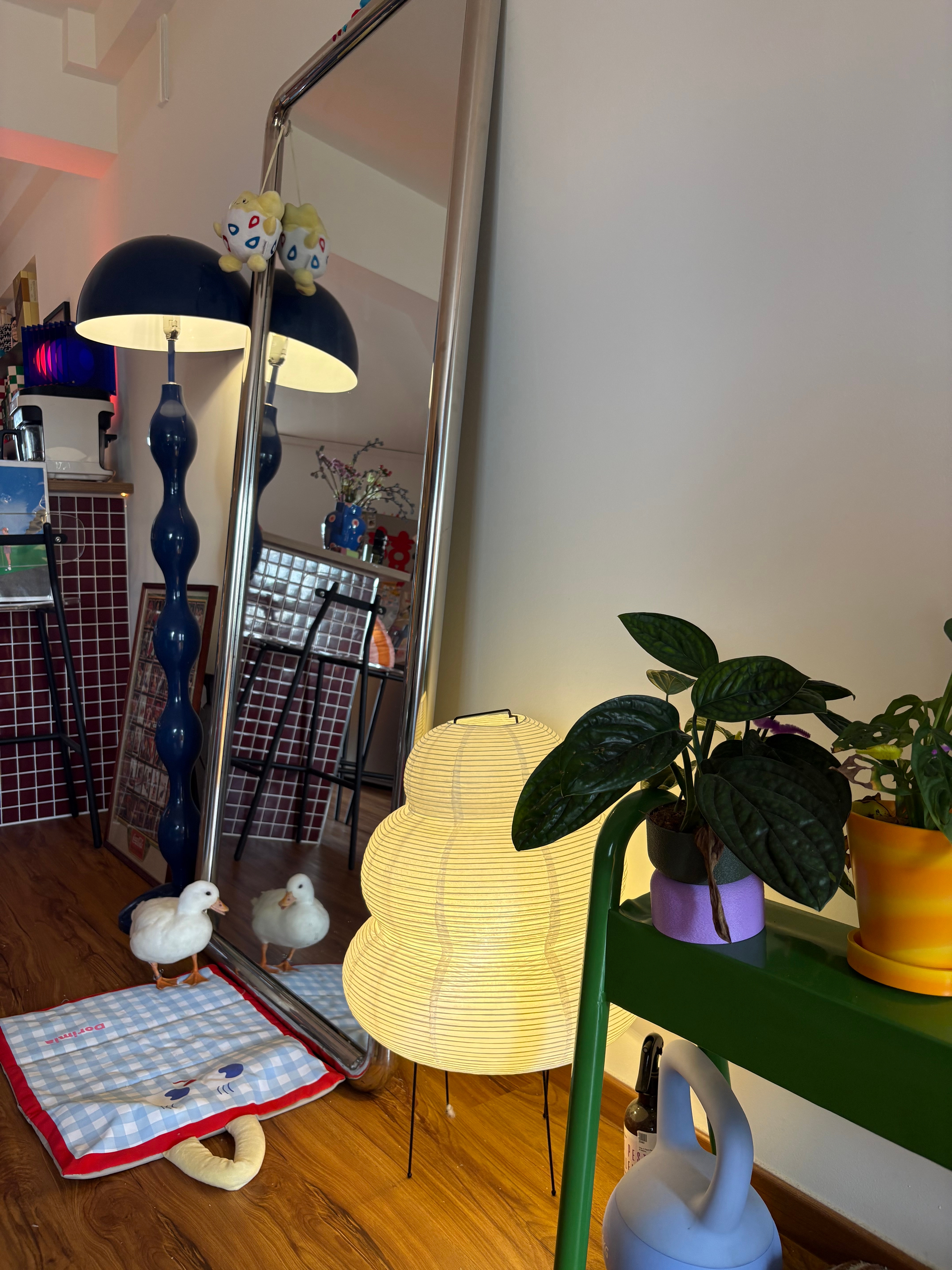 Welcome to our colorful home!
