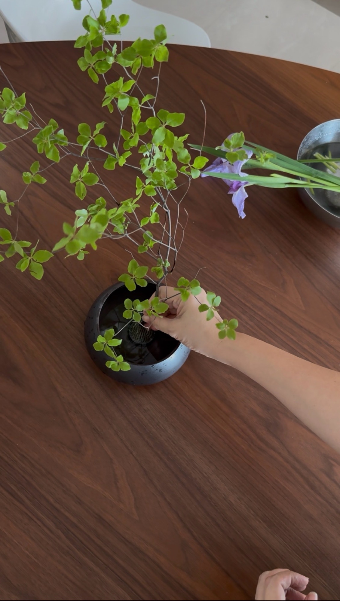 🍀🌸Simple Ikebana, Simple Joy ✨