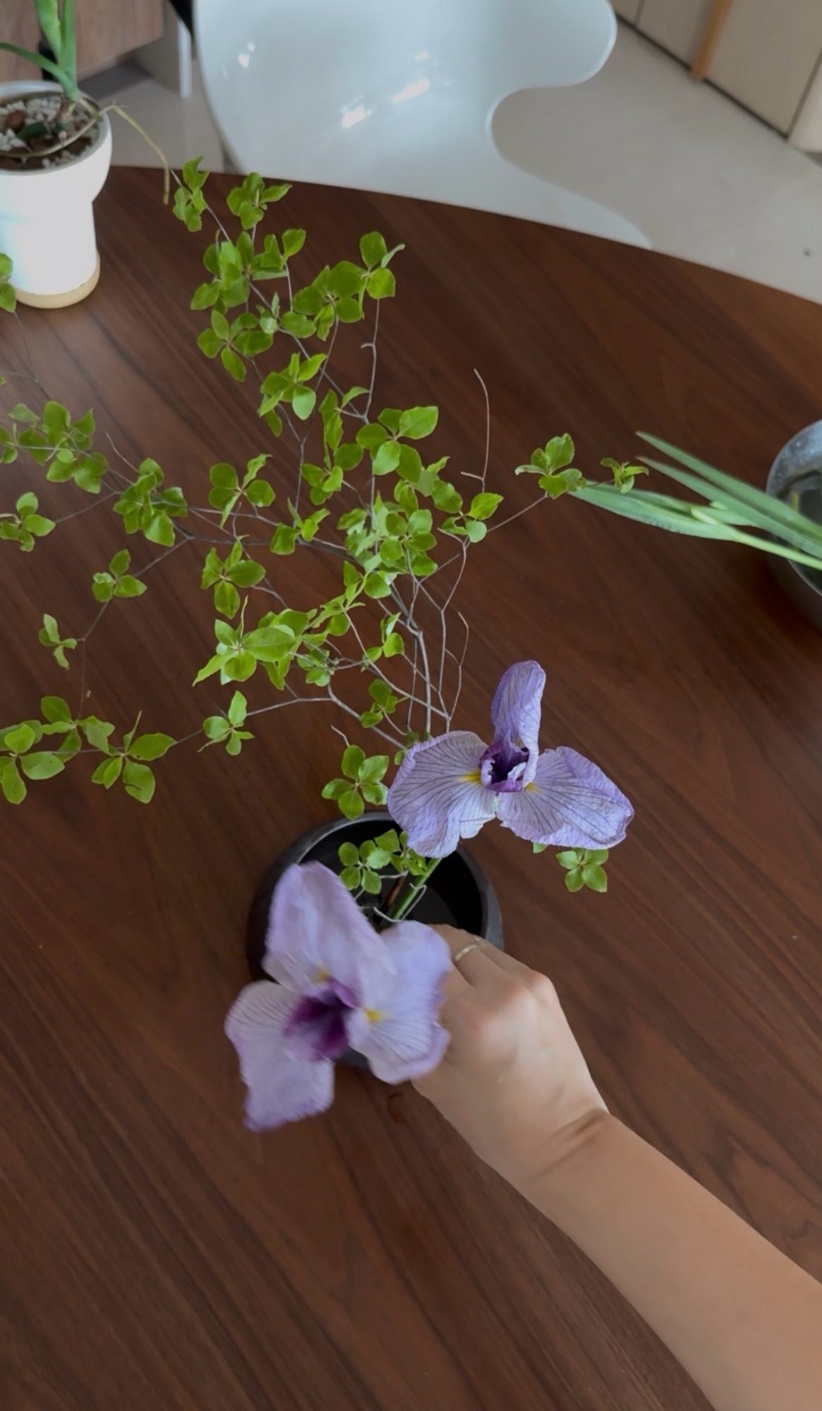 🍀🌸Simple Ikebana, Simple Joy ✨