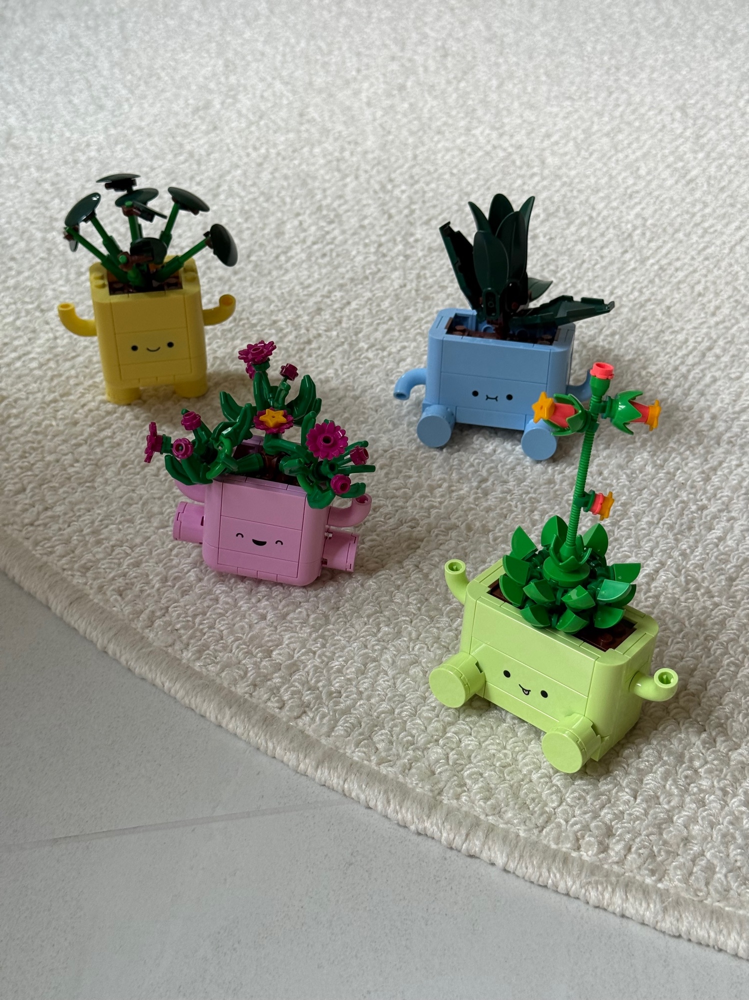 Our newest ‘plants’