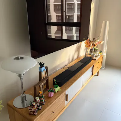 Customer home photo 2: Our newest ‘plants’