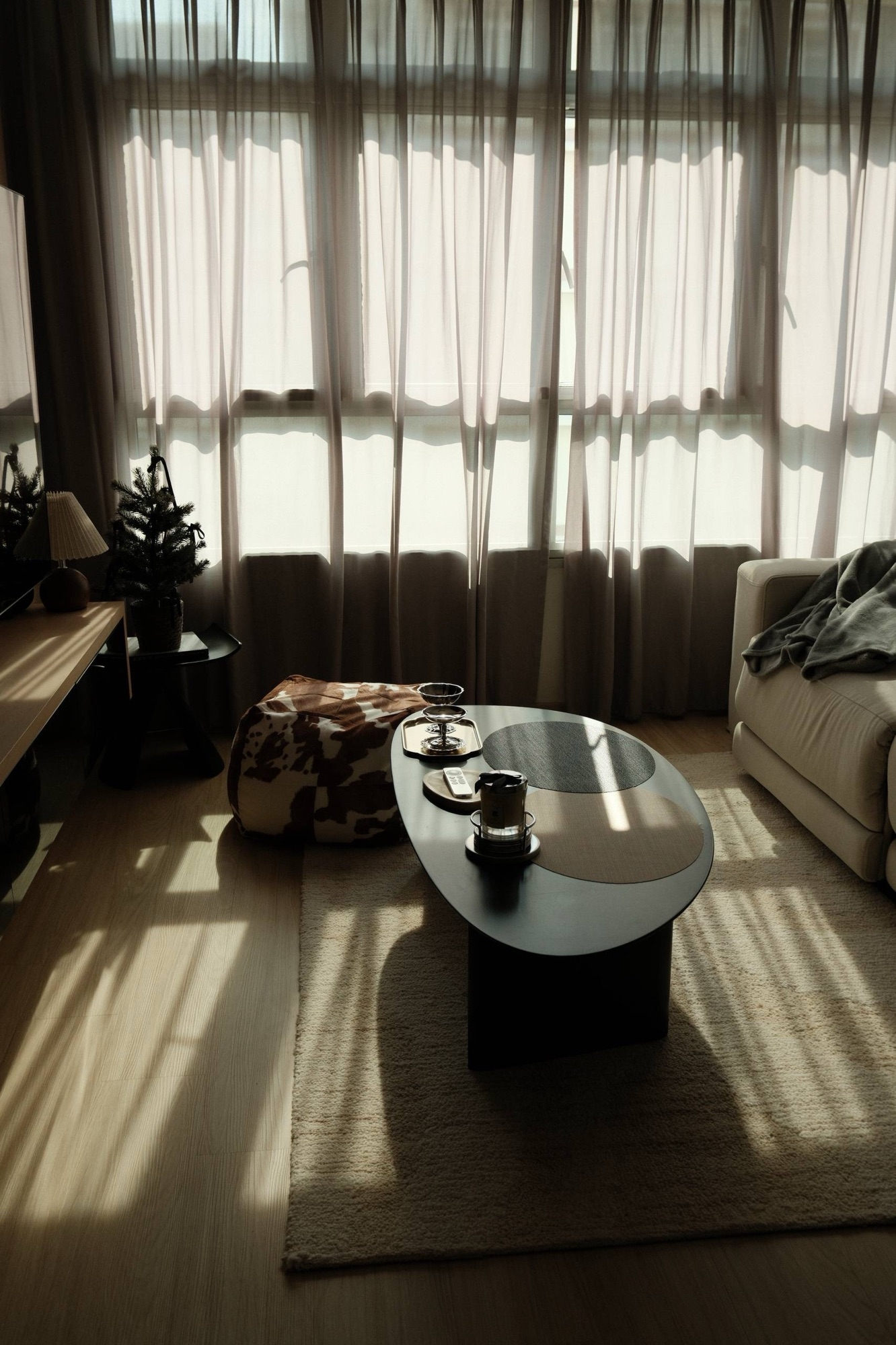 Recent living room decor 🌟