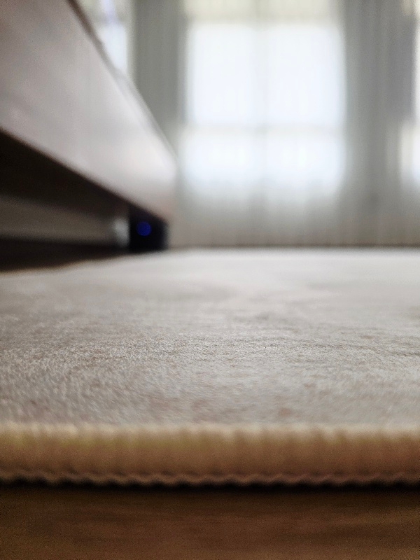 ✨ The Low-Maintenance Carpet <$100 We’ve Been Searching For