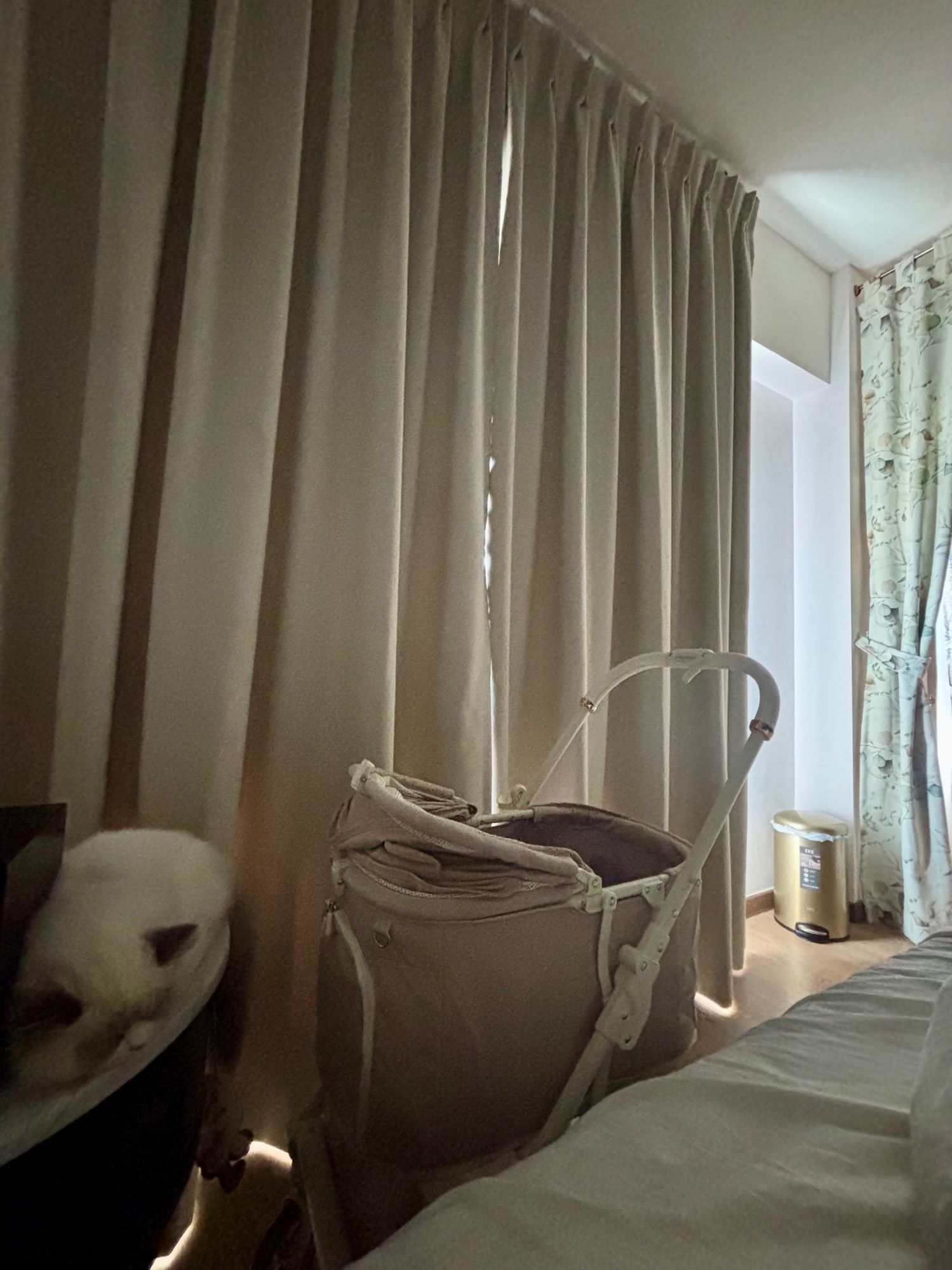 Parts of our home refurbished for our little fur darling haha